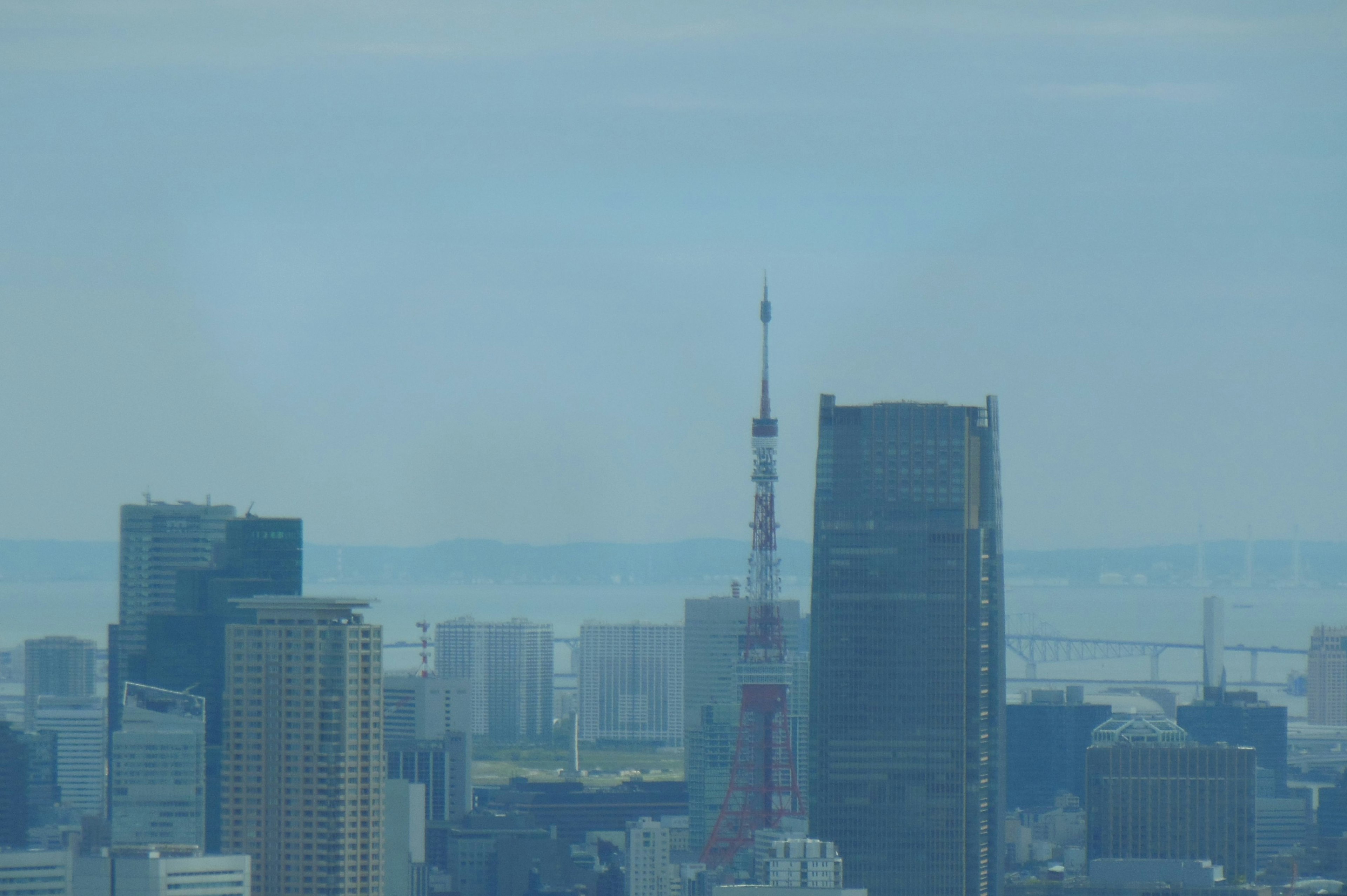 東京タワーと高層ビル群を背景にした都市の風景