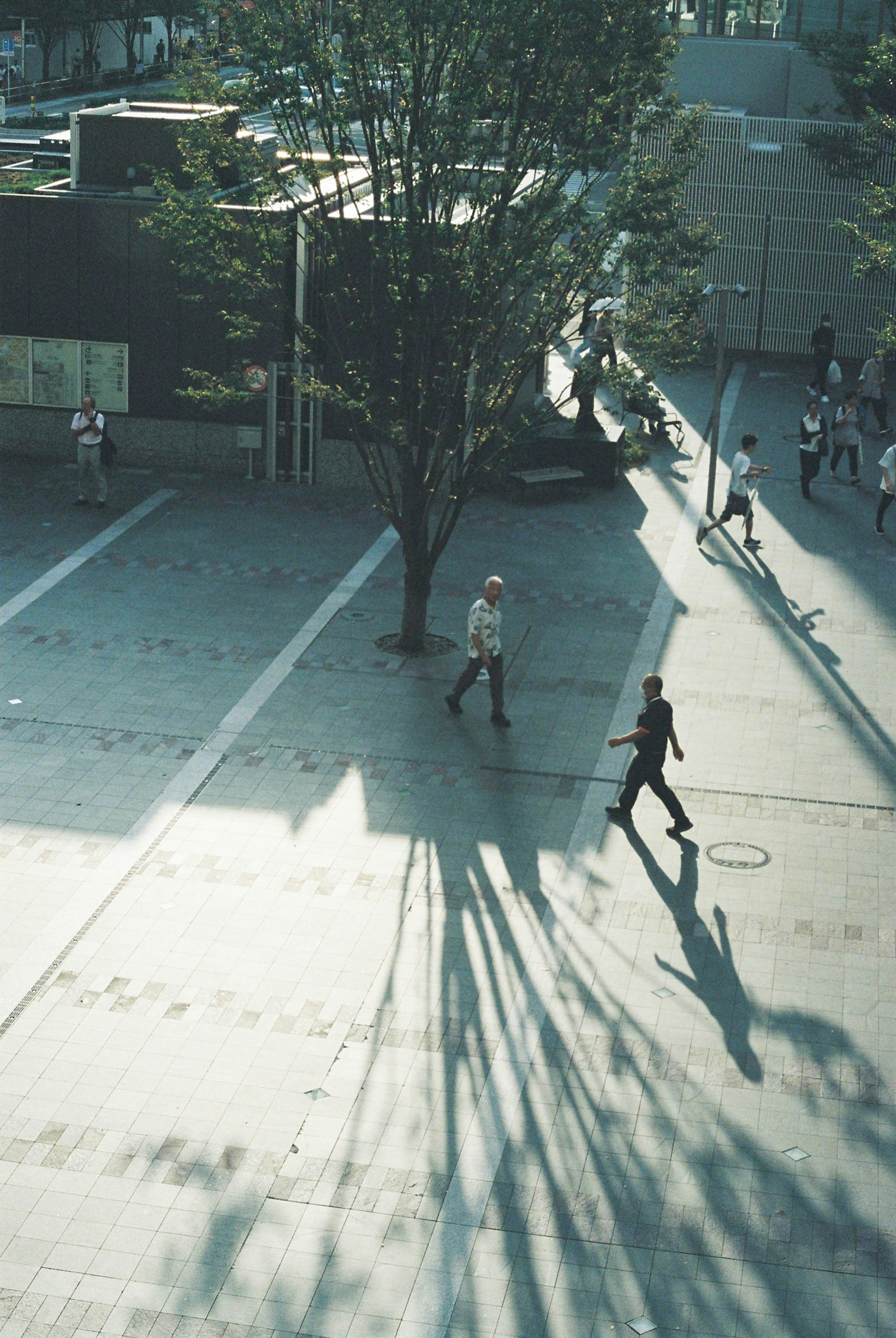 Scène d'une place urbaine avec des personnes marchant des ombres longues projetées par des arbres