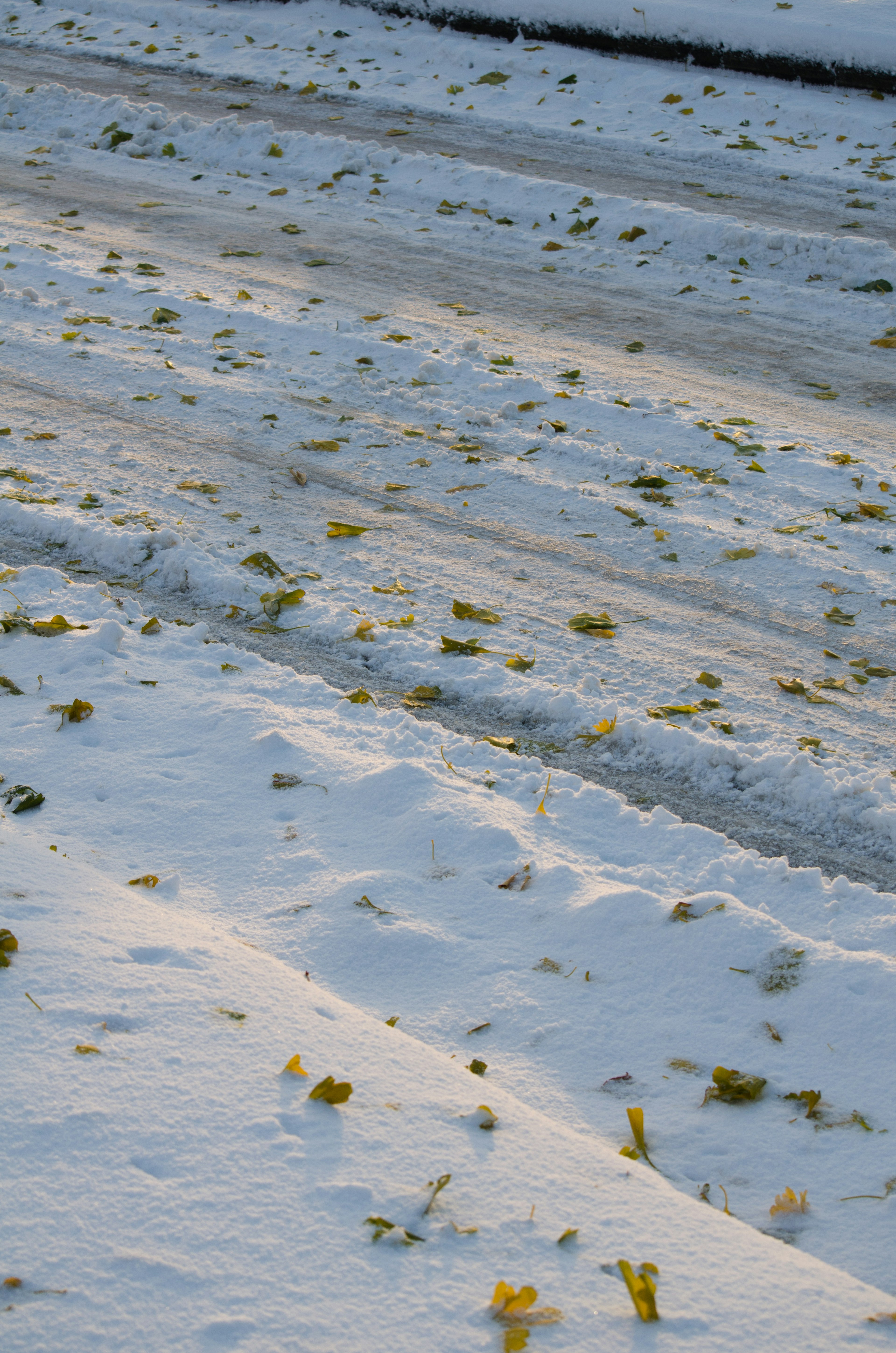 Suelo cubierto de nieve con manchas de hierba y huellas de neumáticos