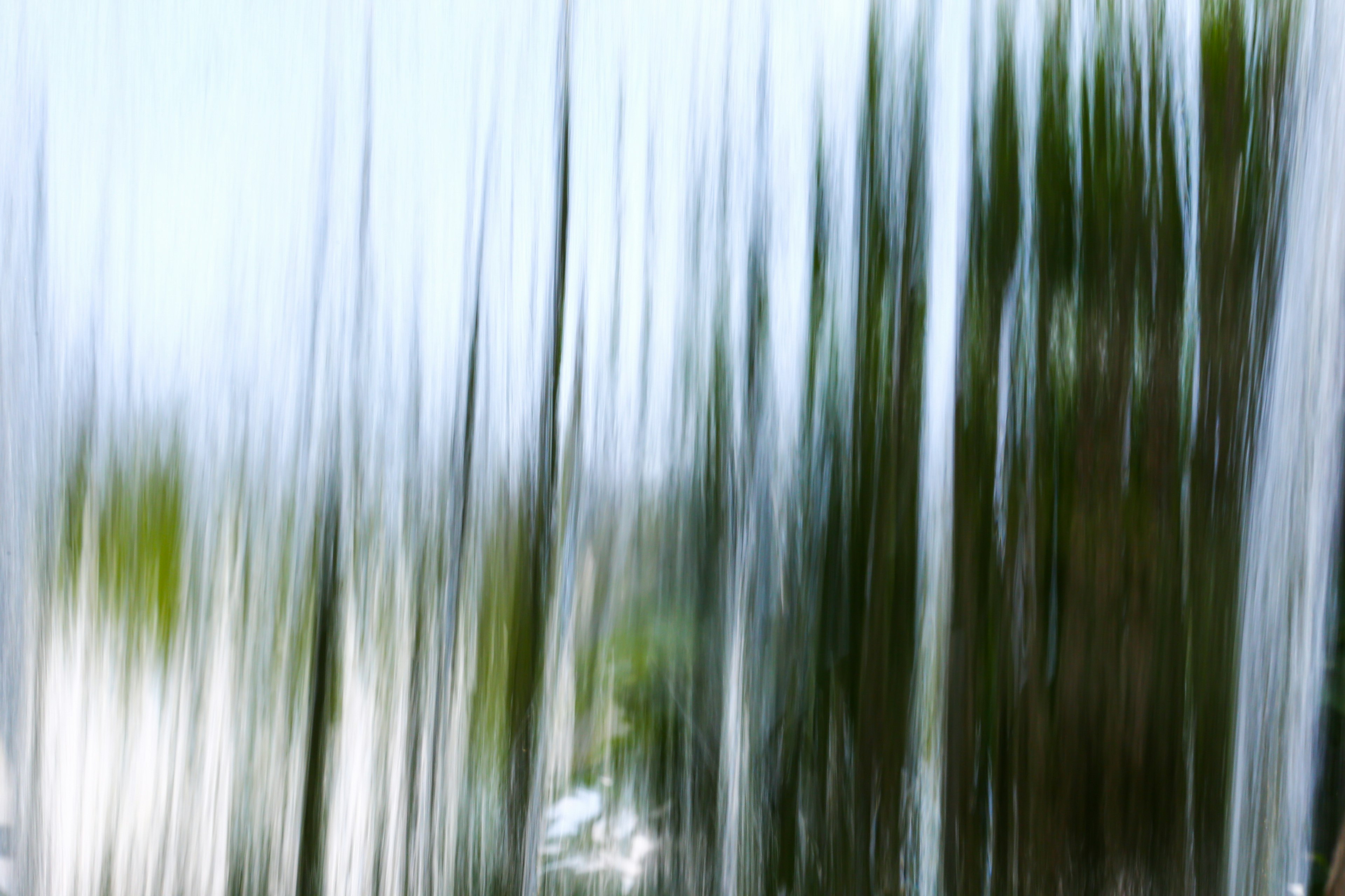 Abstraktes Bild von verschwommenen Bäumen und blauem Himmel