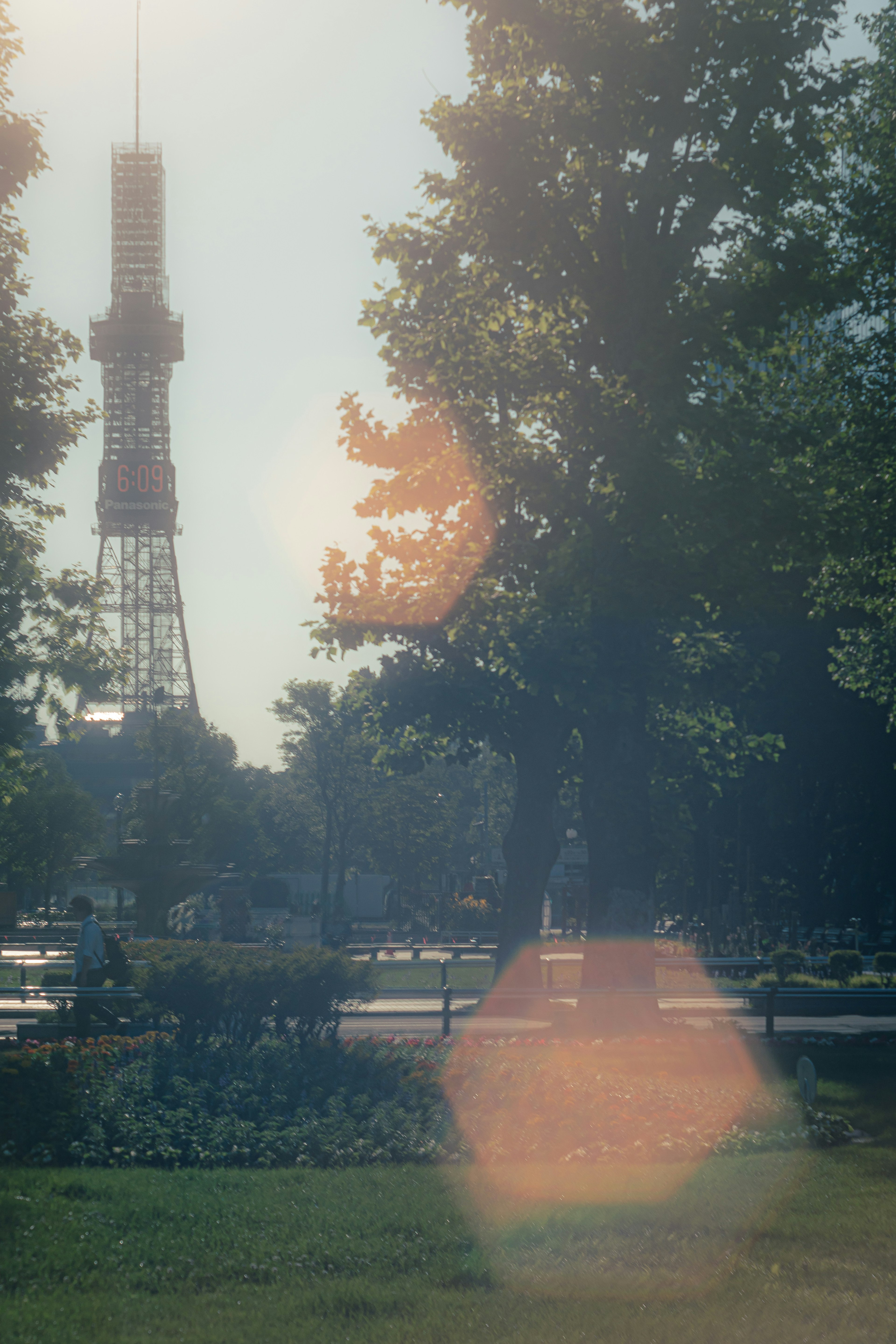 Torre de Tokio visible entre árboles con destello de luz suave