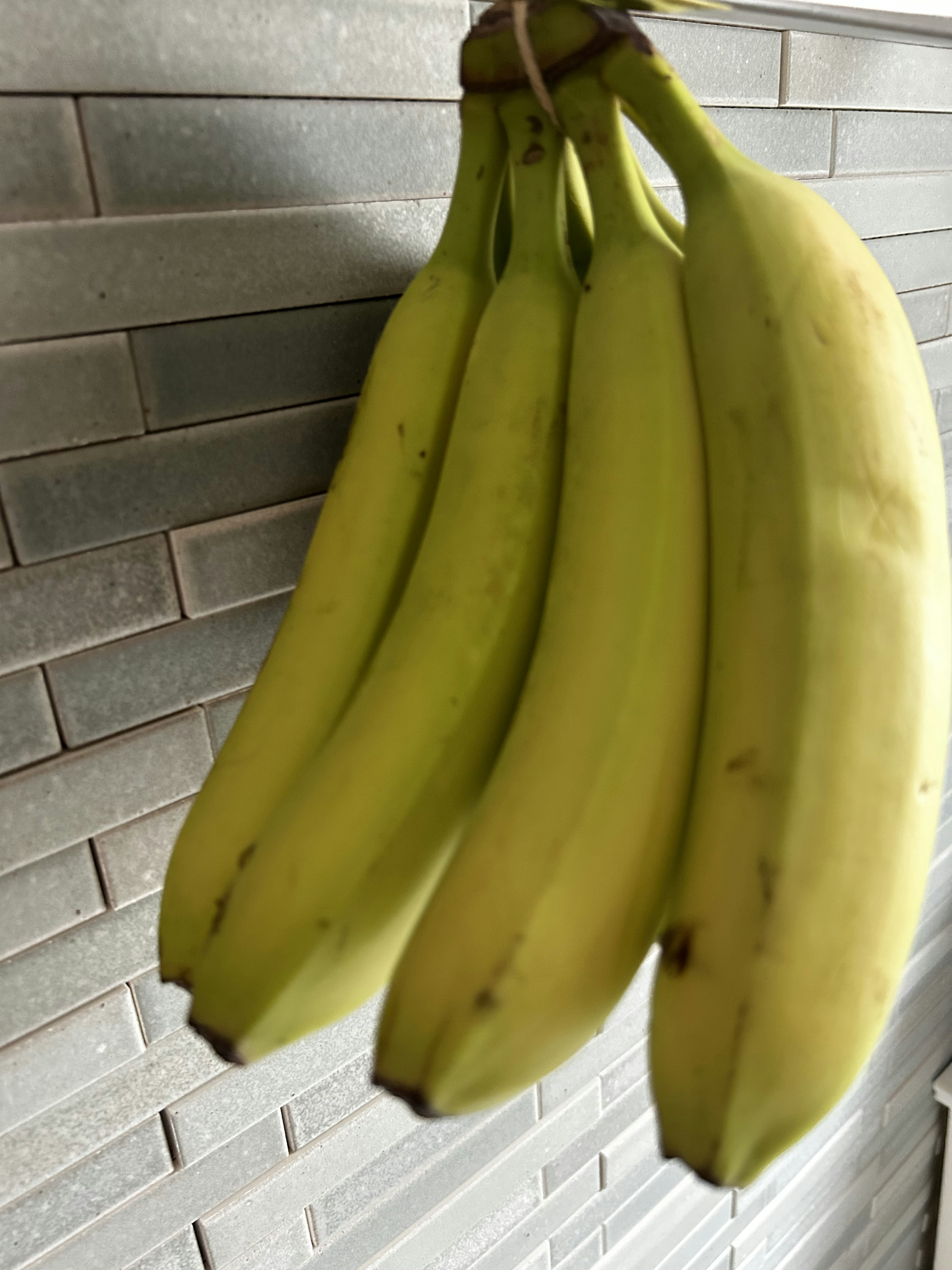 A bunch of green bananas hanging against a tiled background