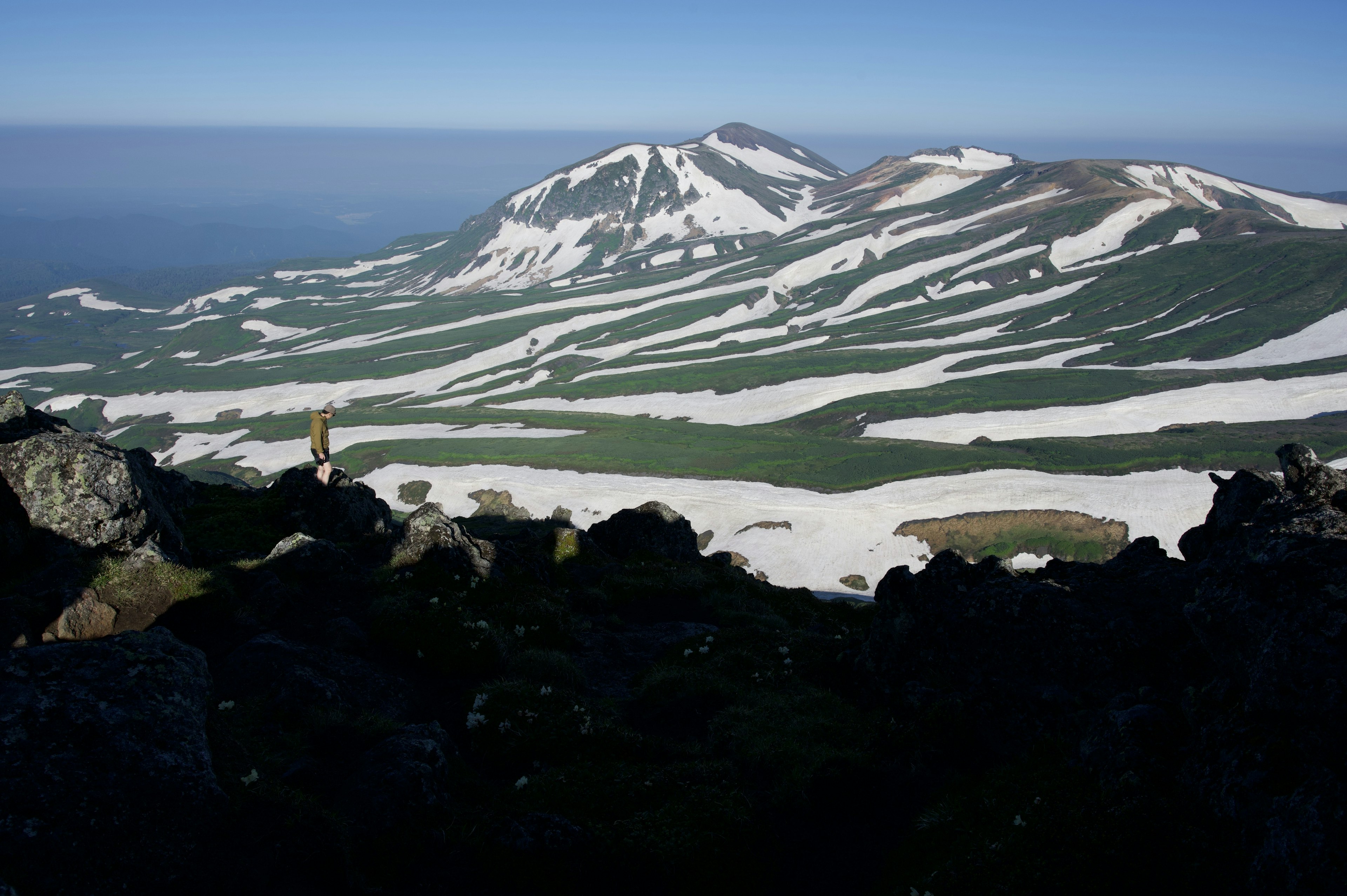 雪に覆われた山々と緑の草原が広がる風景