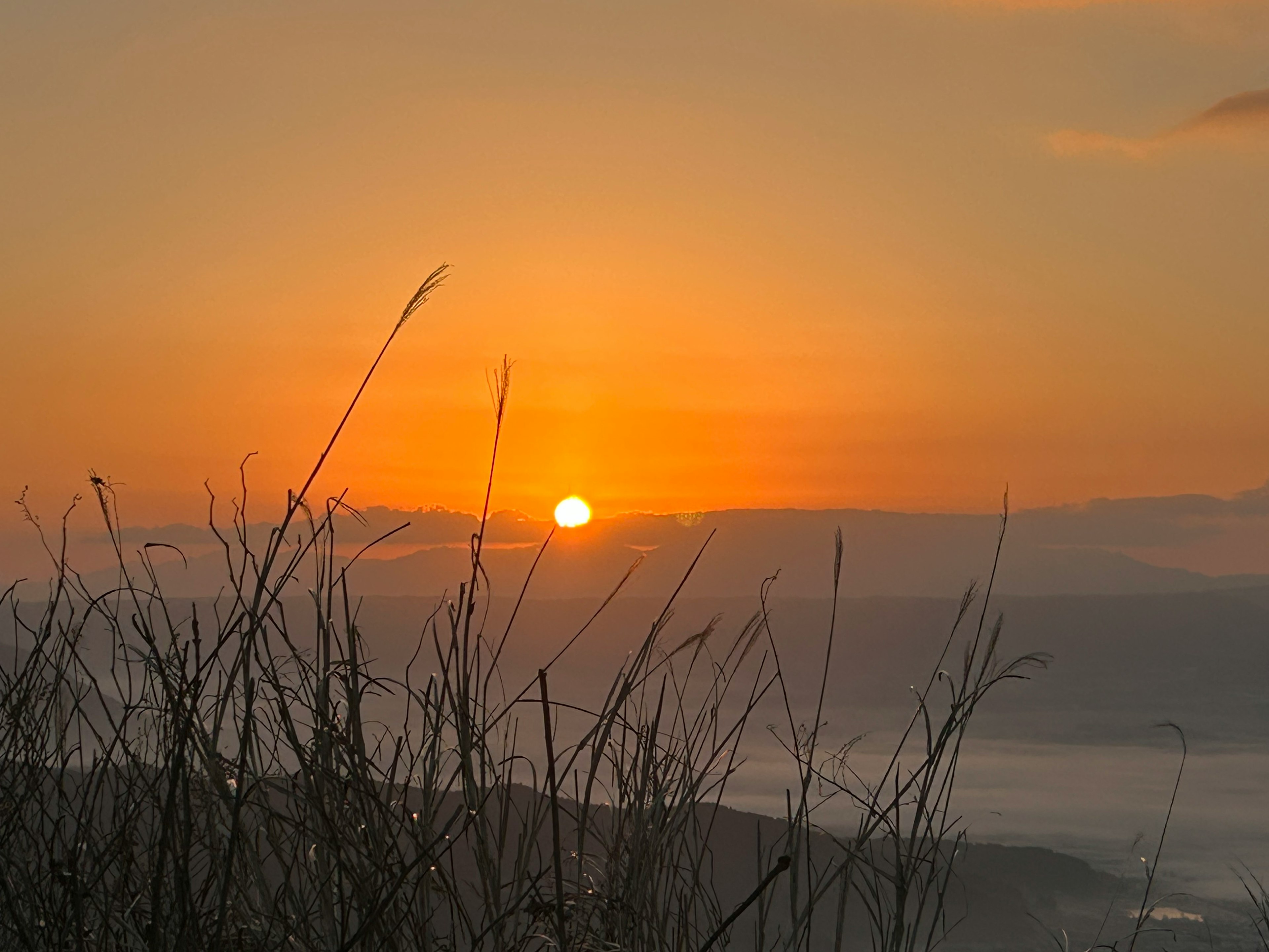 夕日が沈む風景と草のシルエット