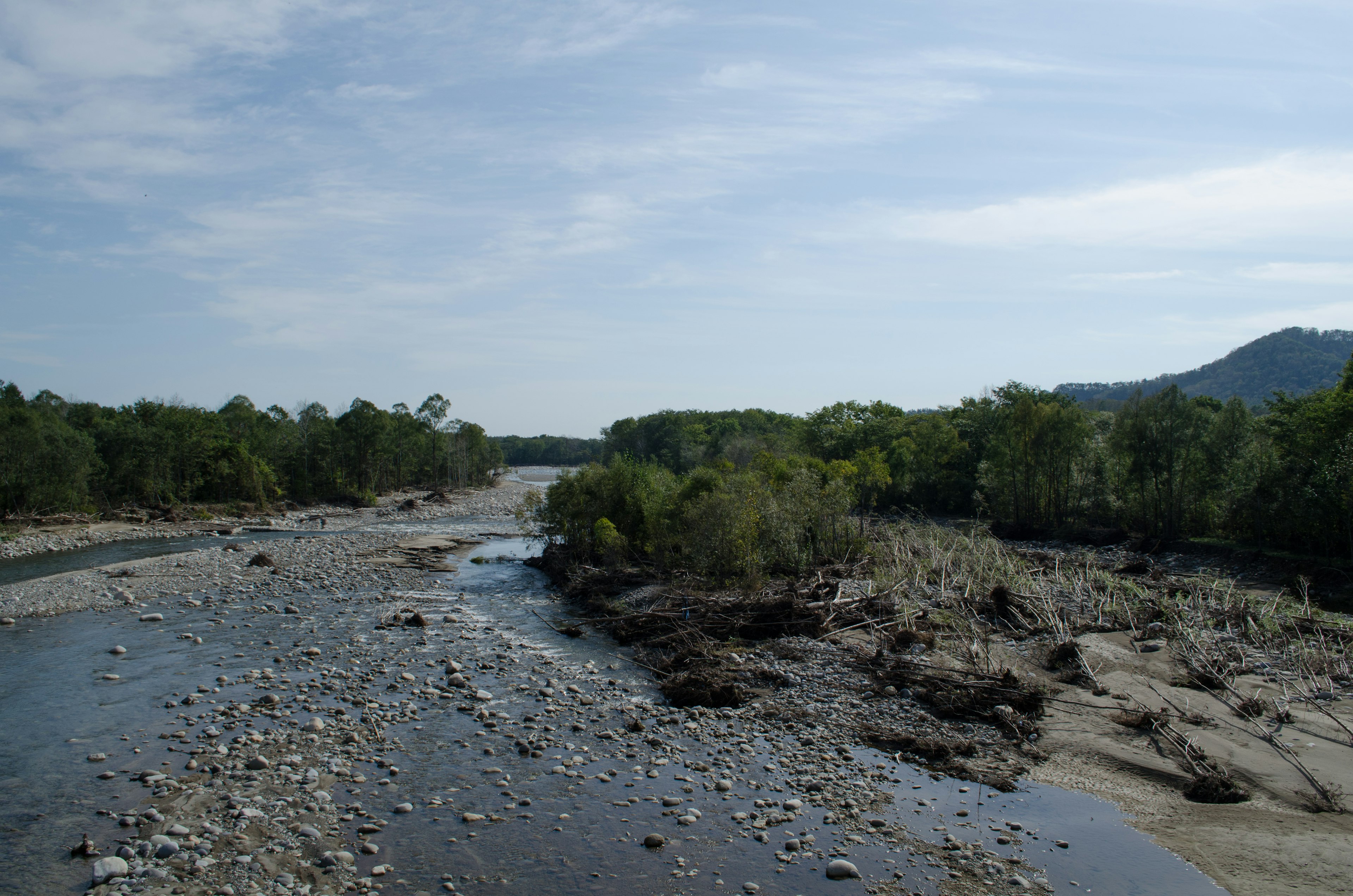 A tranquil river flows surrounded by lush green trees and rocky banks