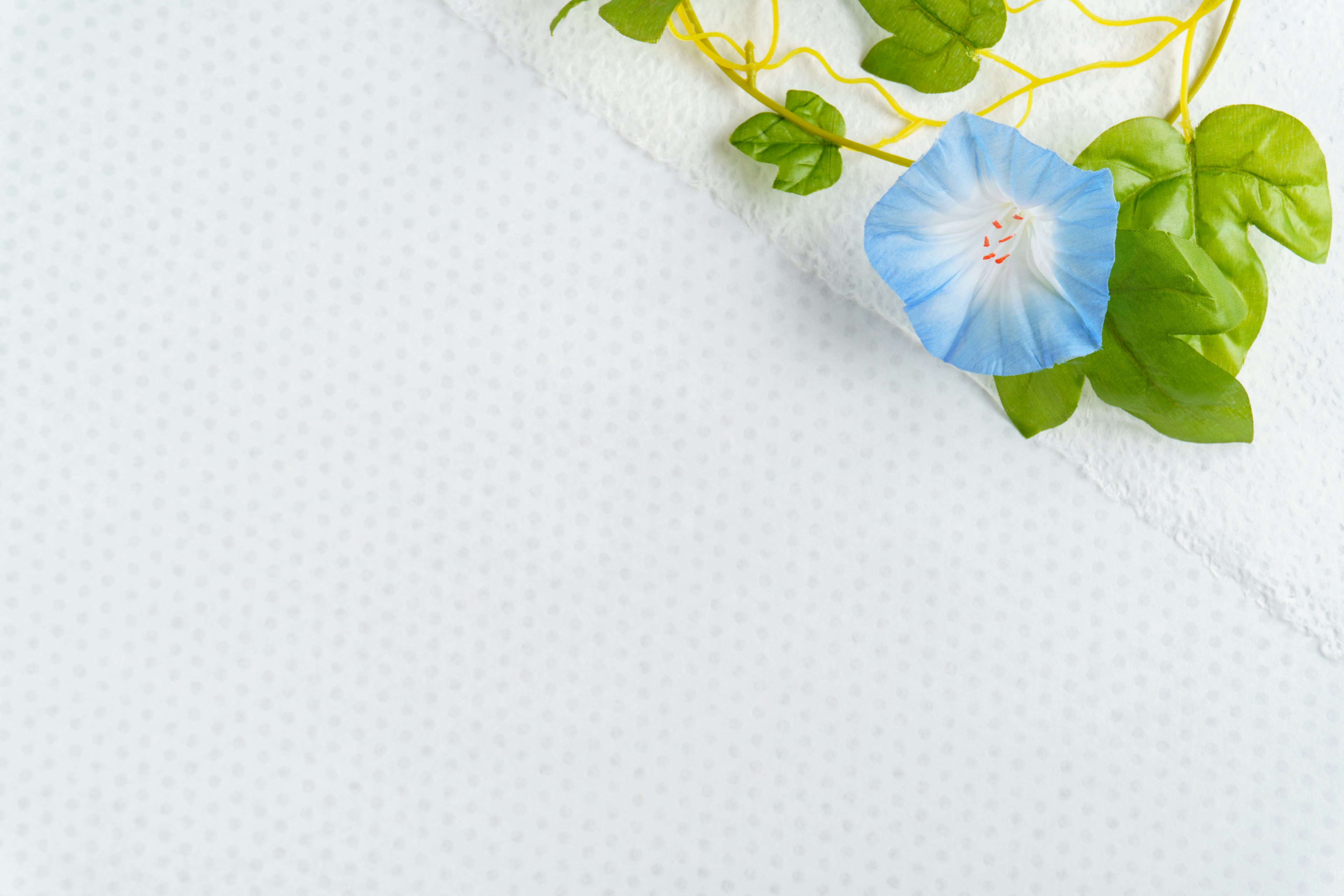 Image features a blue flower and green leaves on a white background