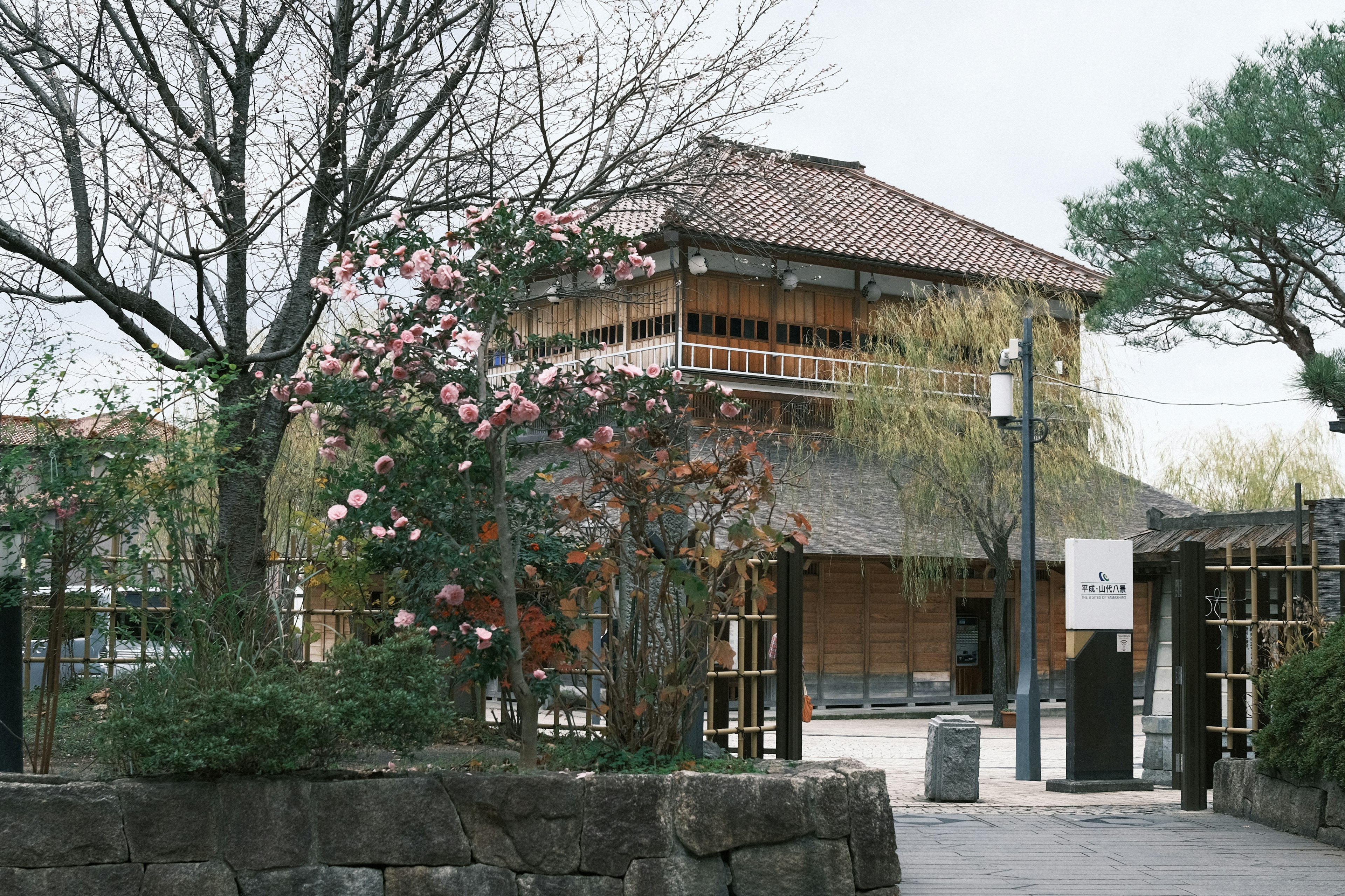 Bangunan tradisional Jepang dikelilingi oleh bunga sakura dan tanaman hijau