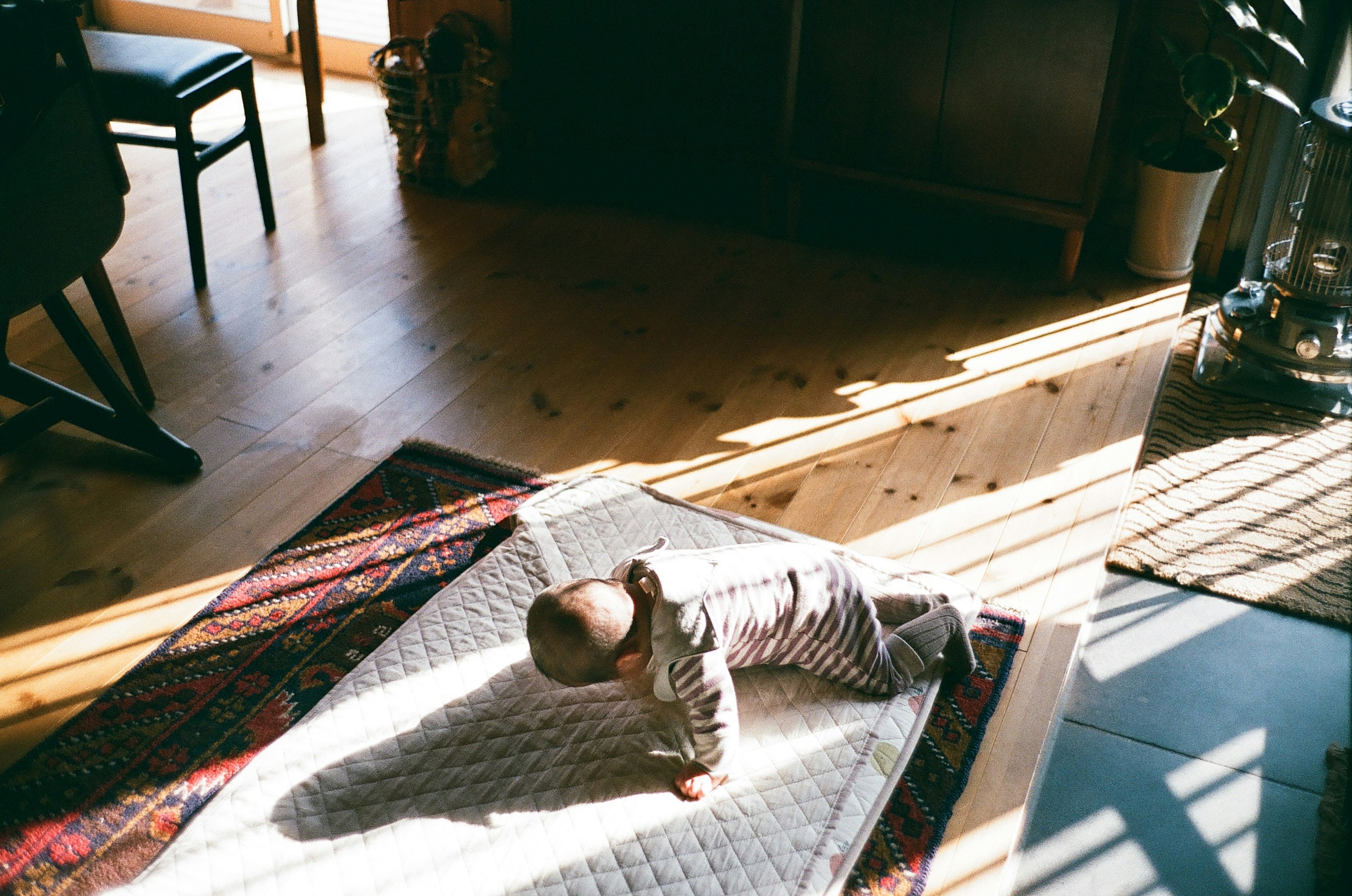 A baby crawling on a carpet in a sunlit room with wooden floors