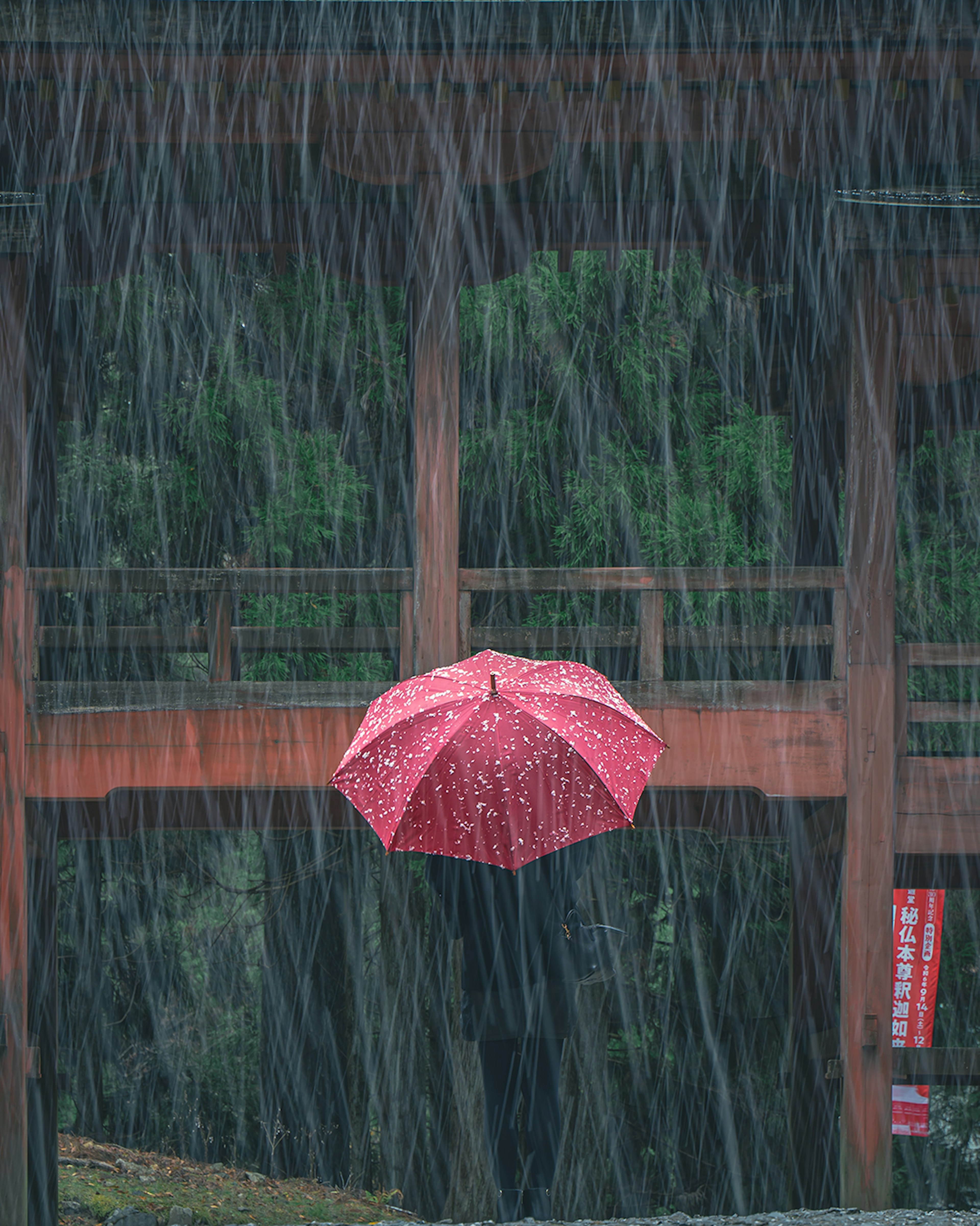 赤い傘が雨の中で浮かんでいる風景