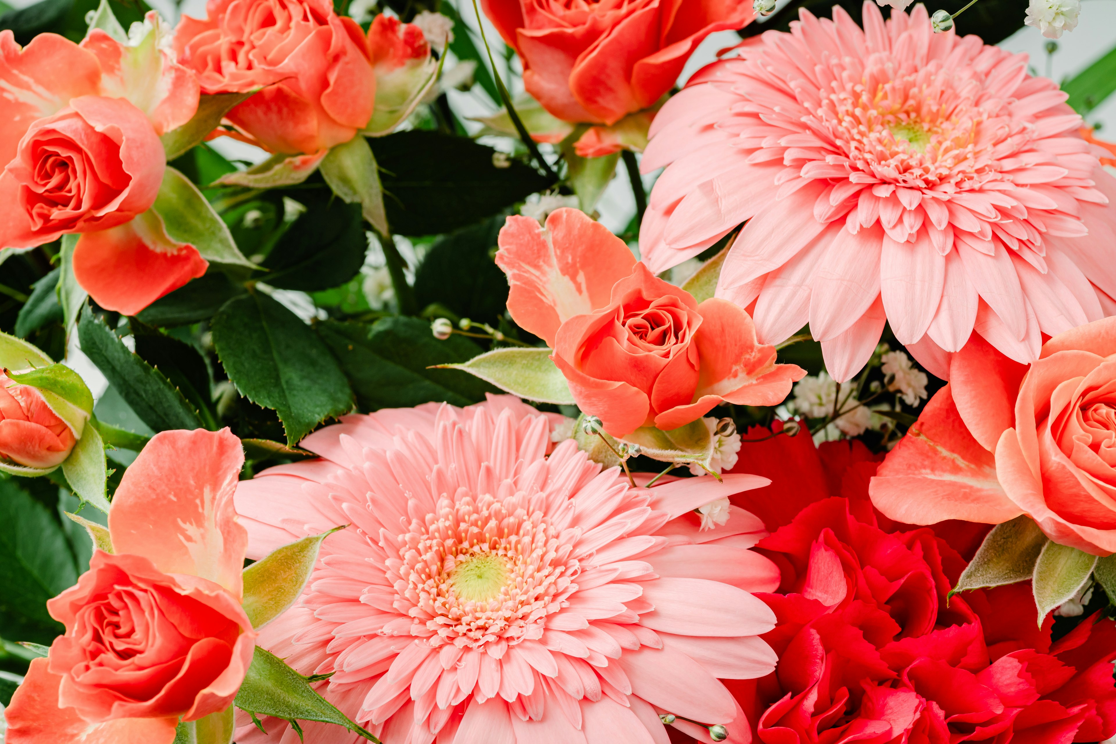 Bouquet of pink roses and gerbera vibrant flowers in bloom