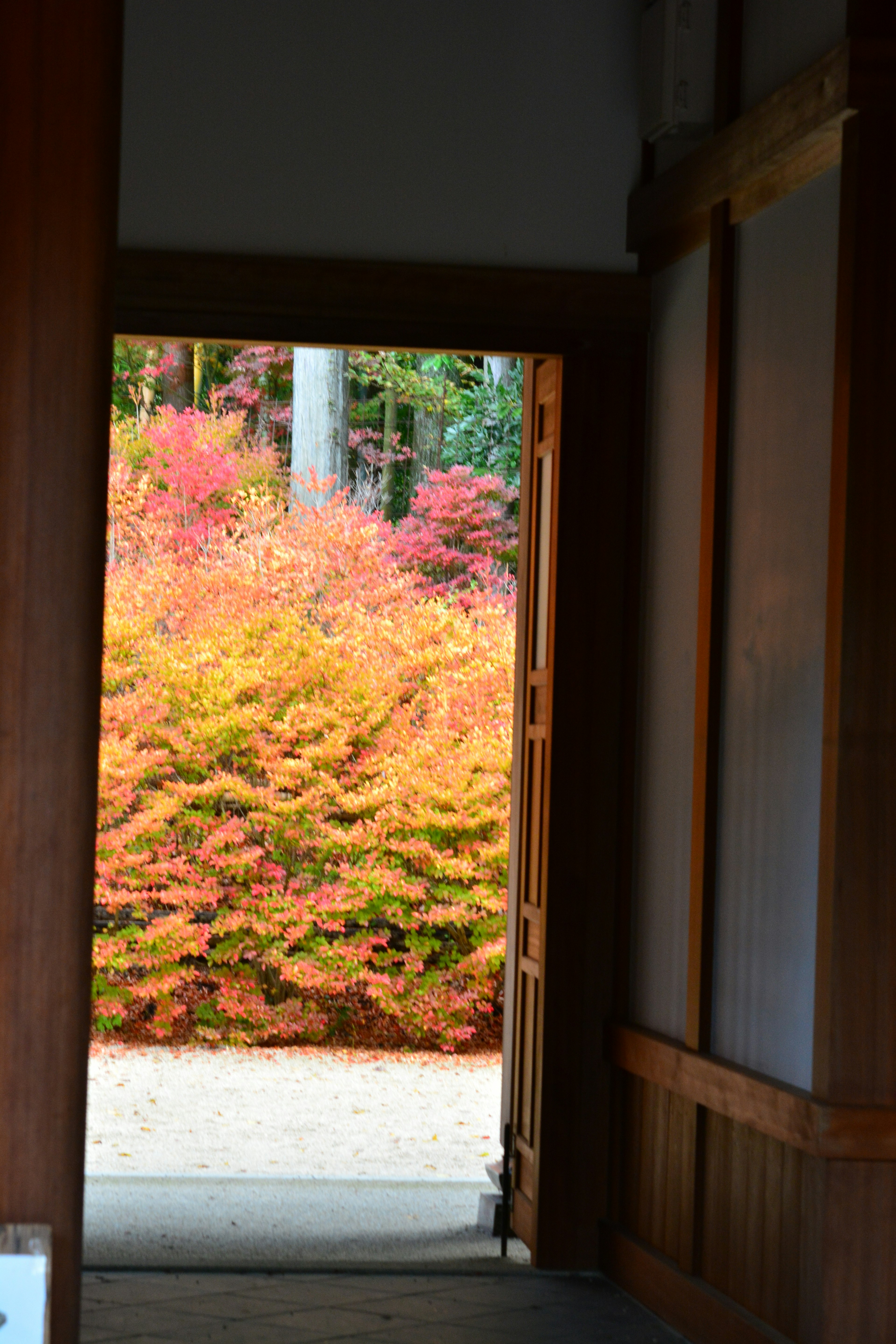 Entrance of a traditional room showcasing autumn foliage