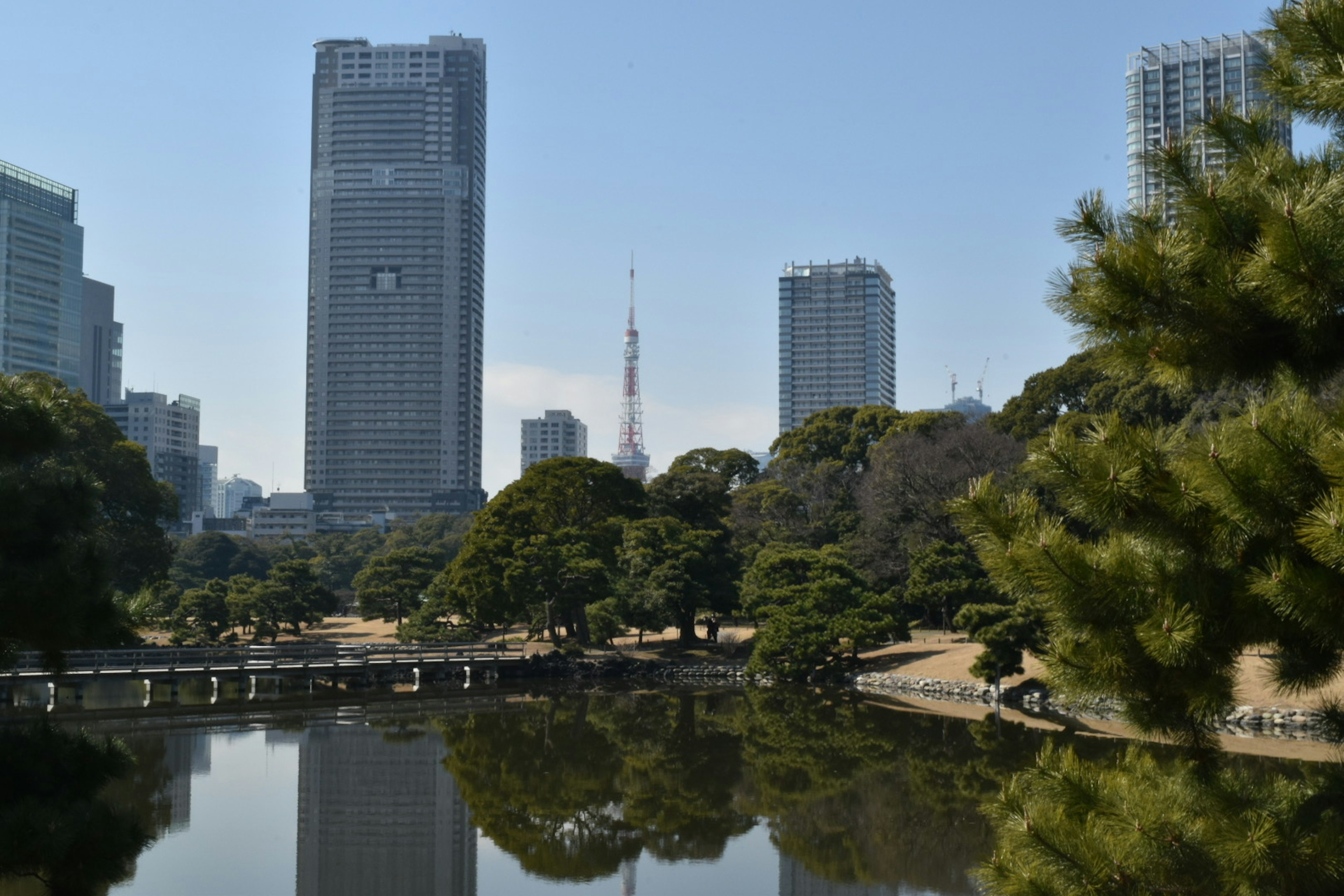 Cảnh công viên đô thị với Tháp Tokyo ở phía sau