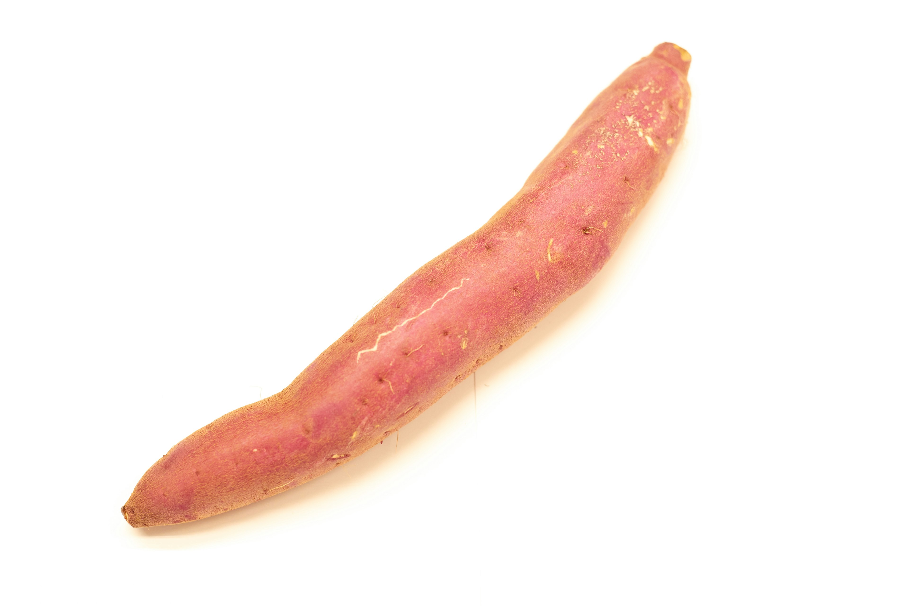 Long sweet potato on a white background