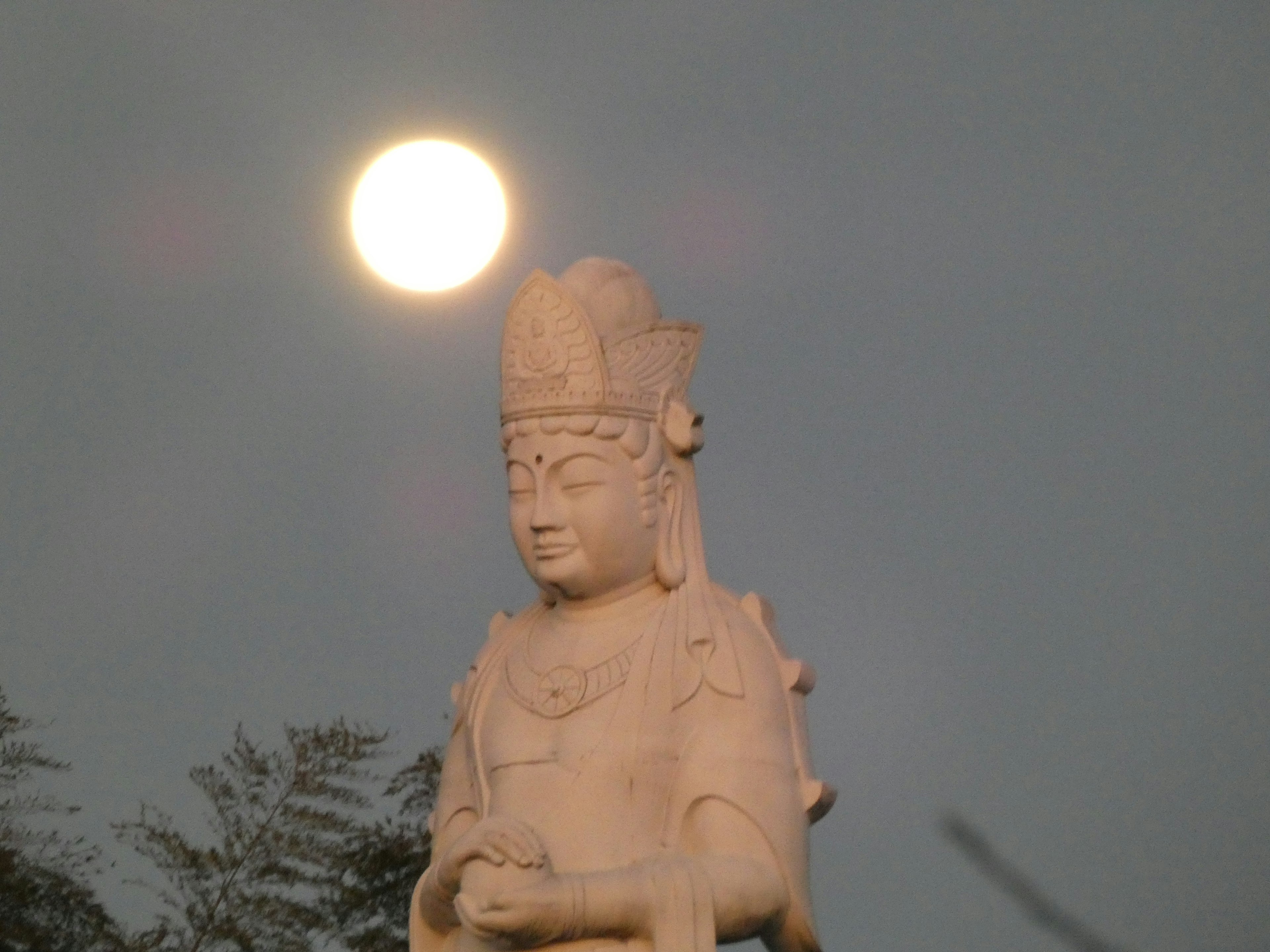 Statua bianca di Kannon sotto la luce della luna