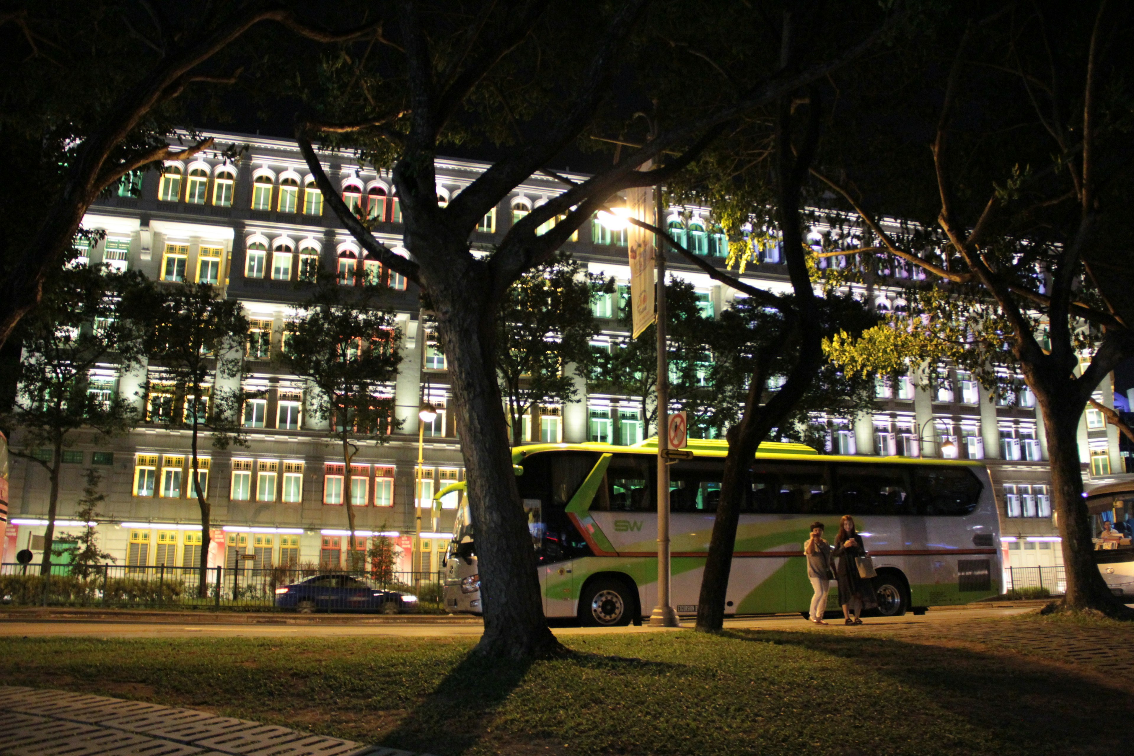 Nighttime scene featuring a bus and trees against a city backdrop