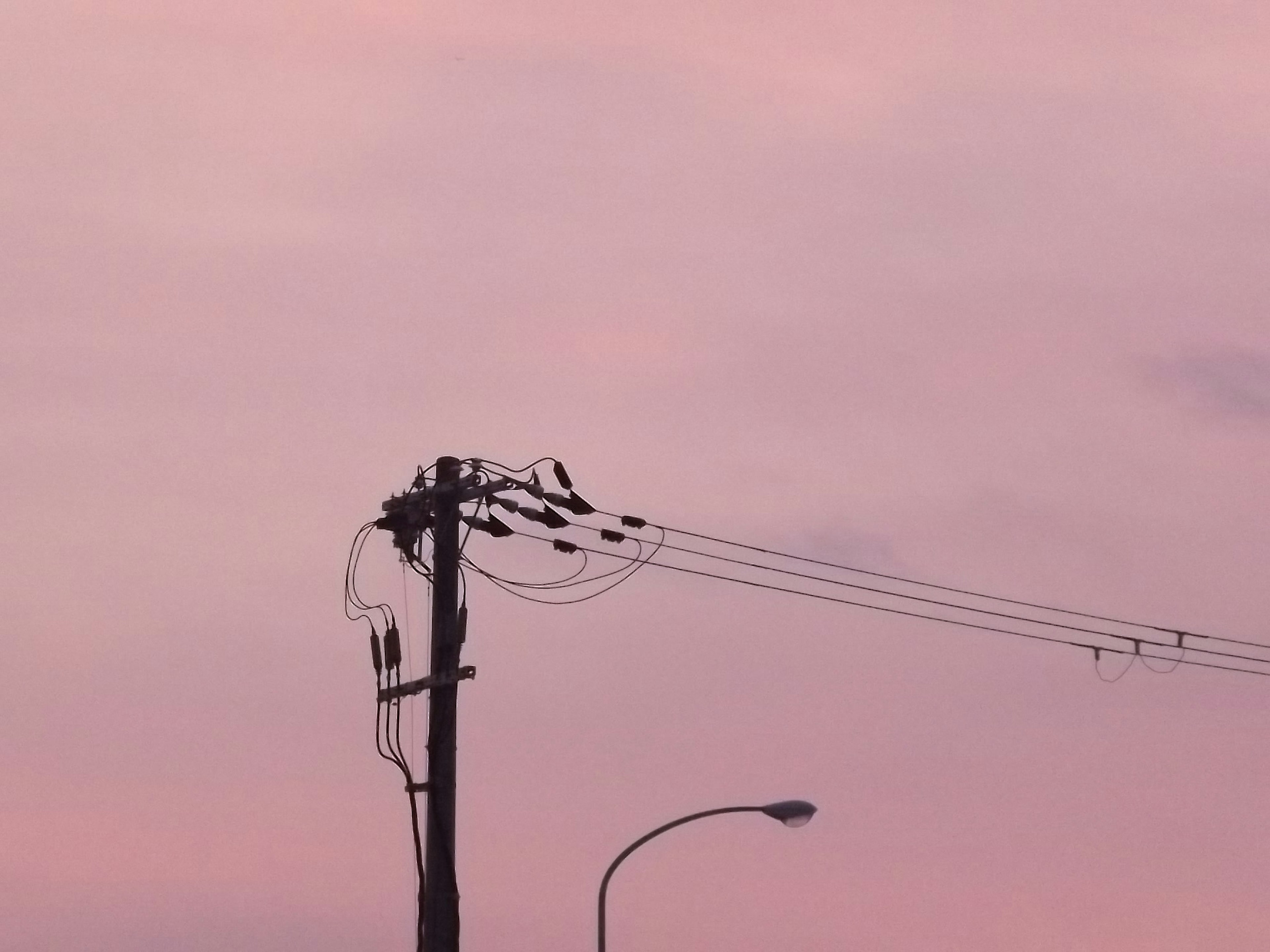 落日天空中電杆和電線的輪廓與鳥類