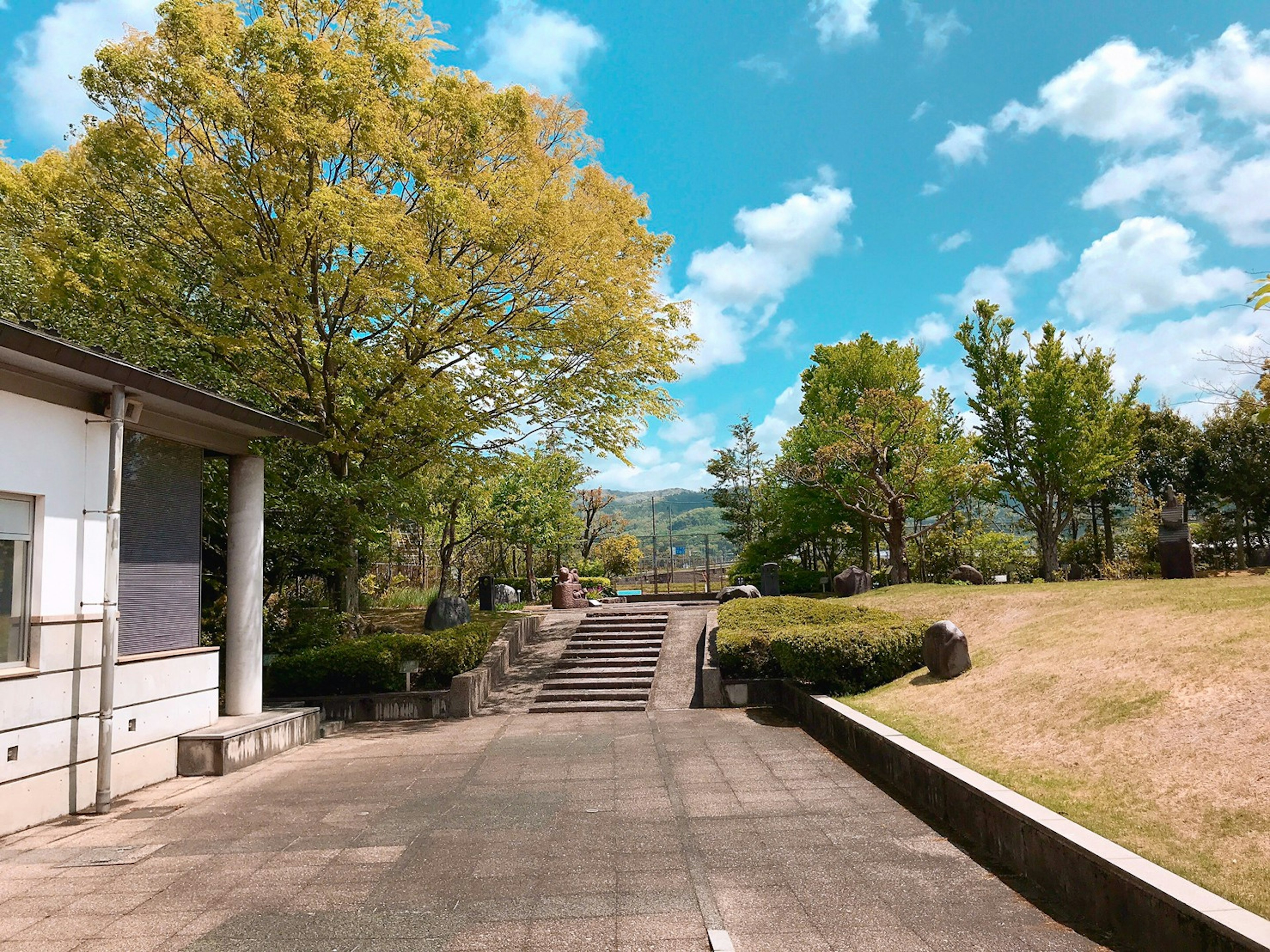 A tranquil pathway in a park with lush green trees