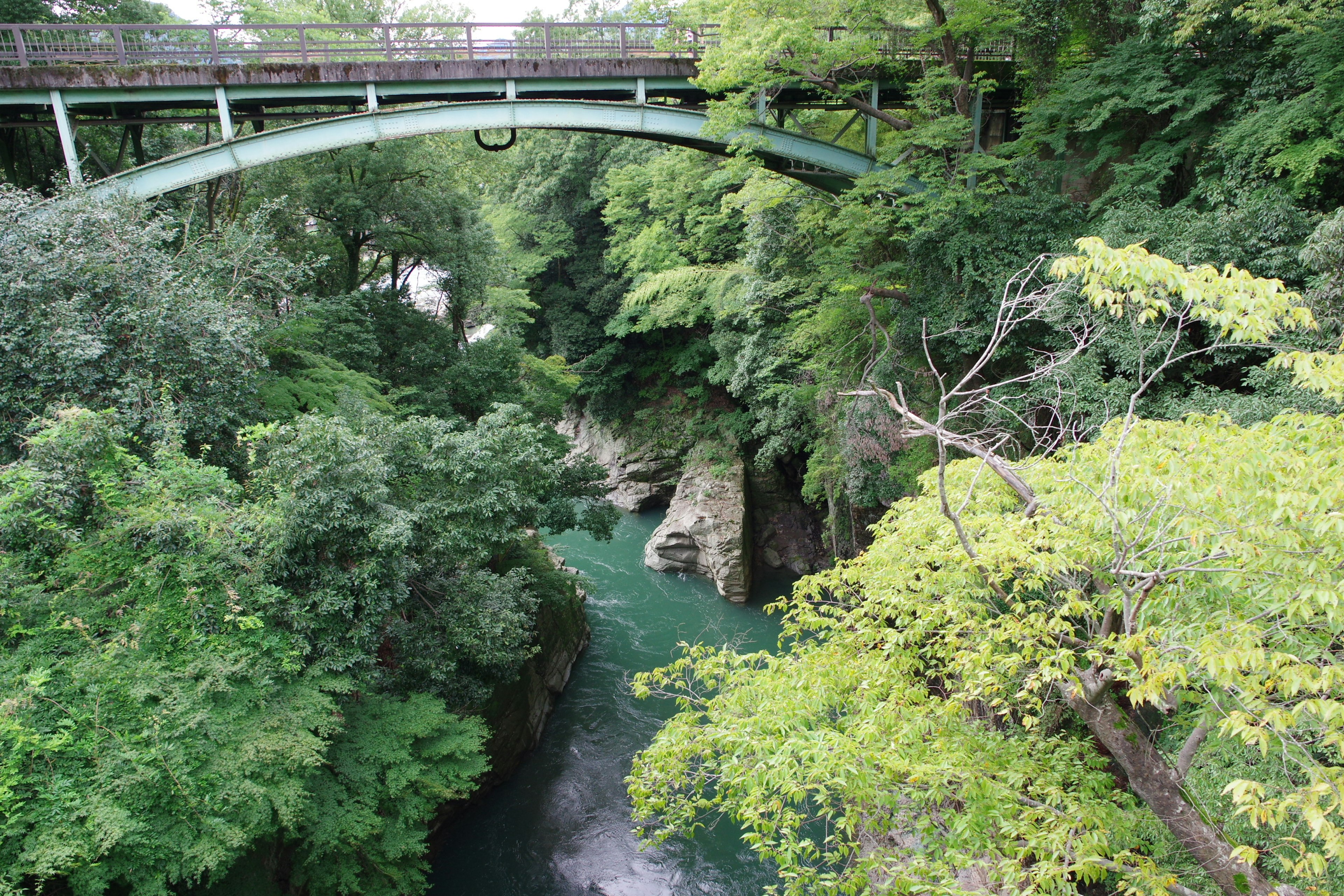 Scenic view of a river surrounded by lush greenery with a bridge overhead