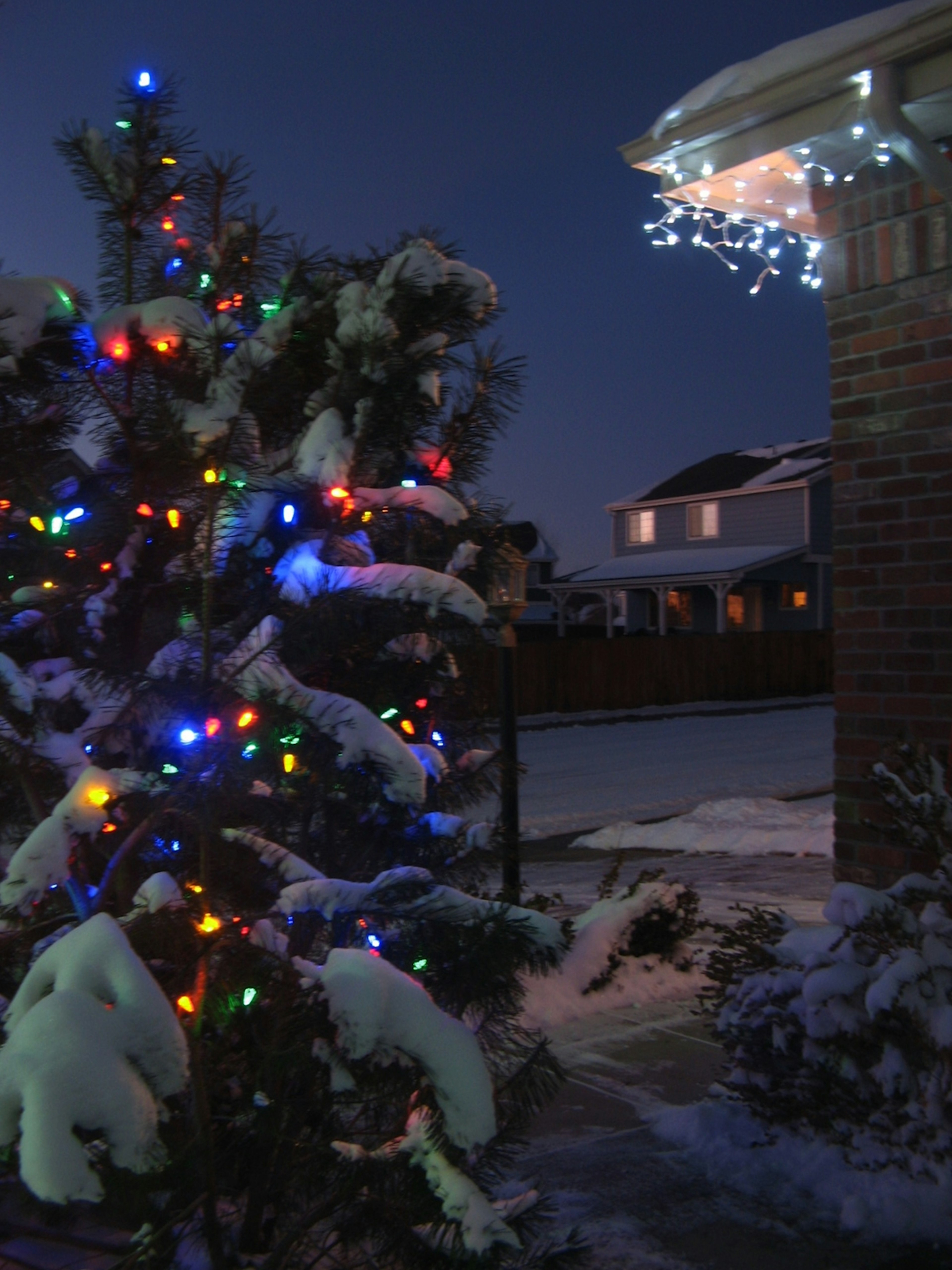 Escena nocturna de un árbol de Navidad cubierto de nieve adornado con luces coloridas