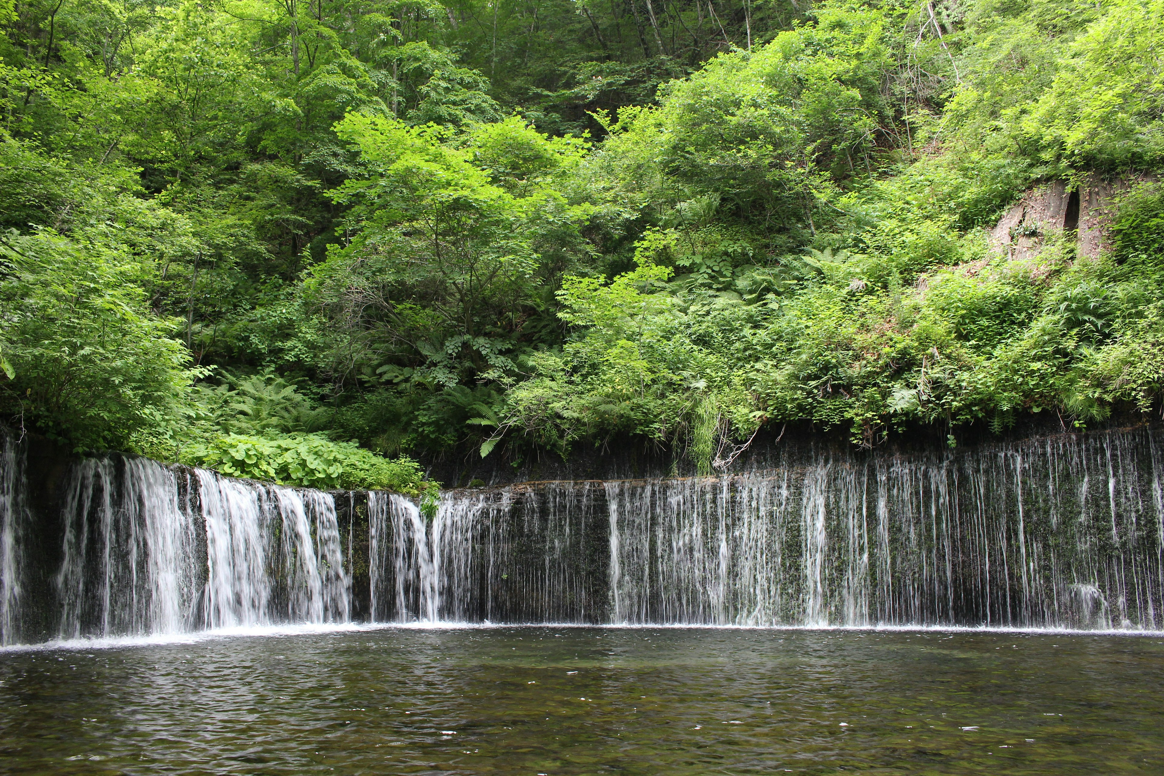 Pemandangan air terjun di hutan rimbun air mengalir ke kolam tenang