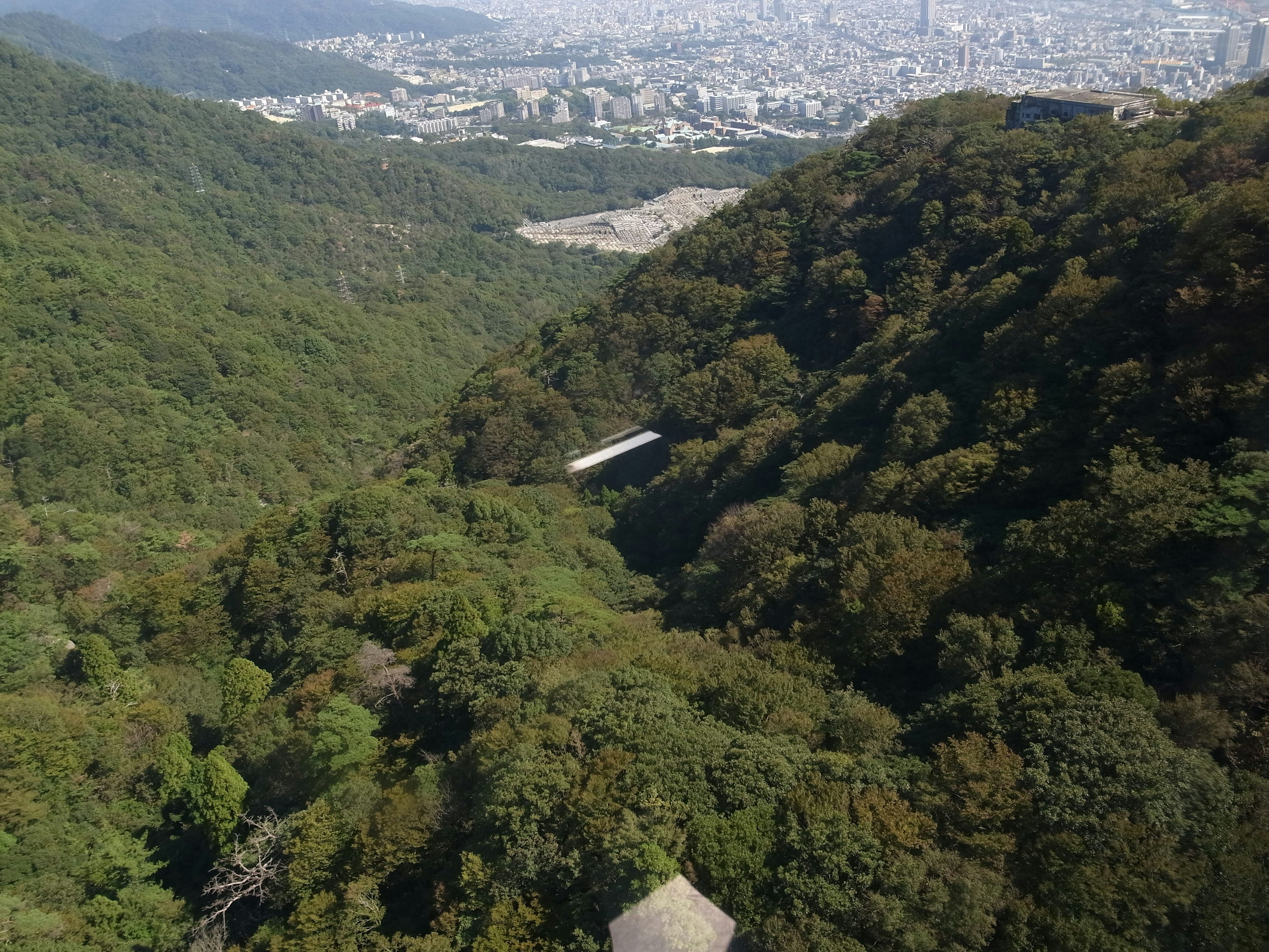 Train suspended in a lush green valley with a cityscape in the background