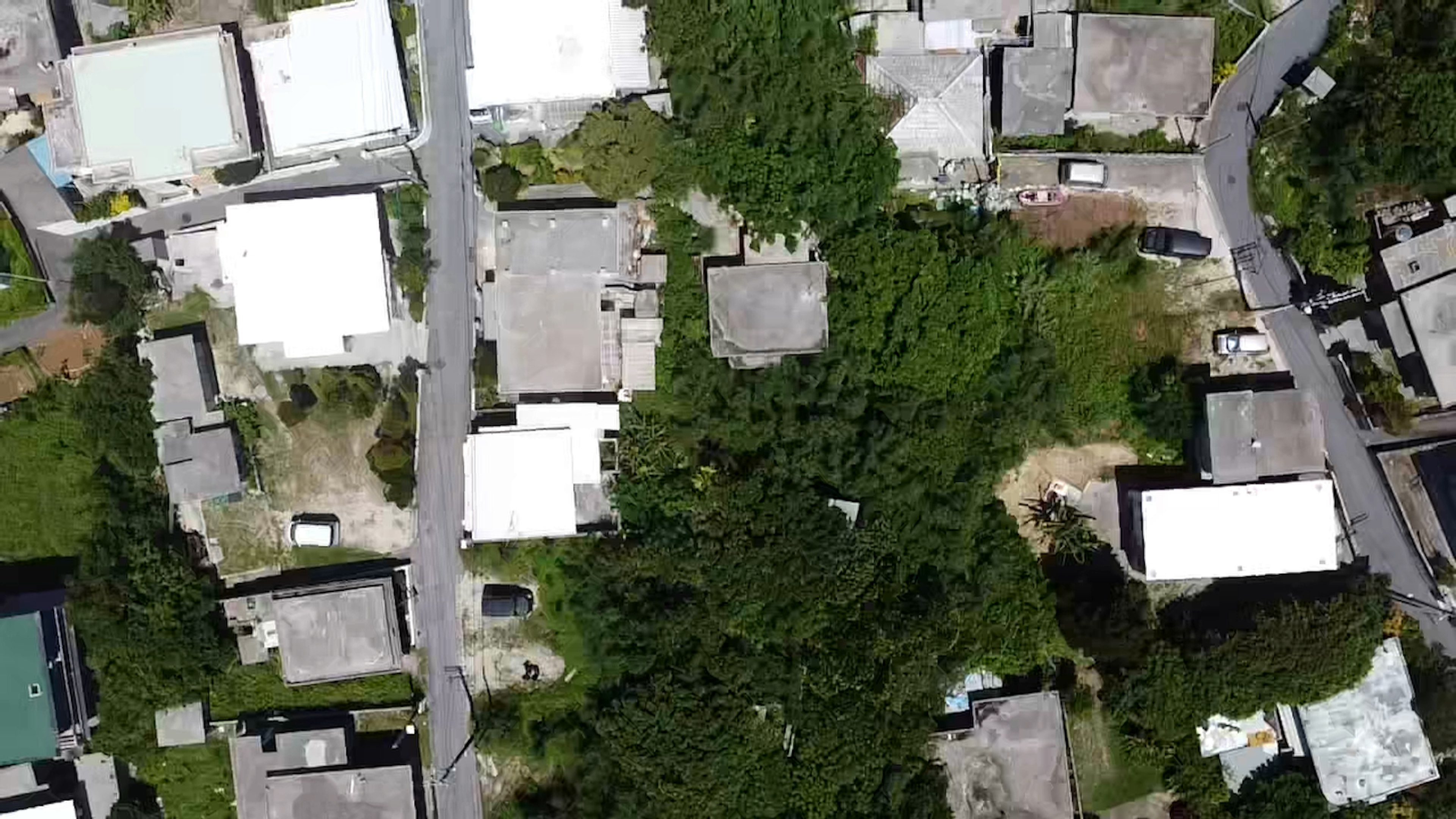 Aerial view of a residential area with white-roofed buildings and green trees