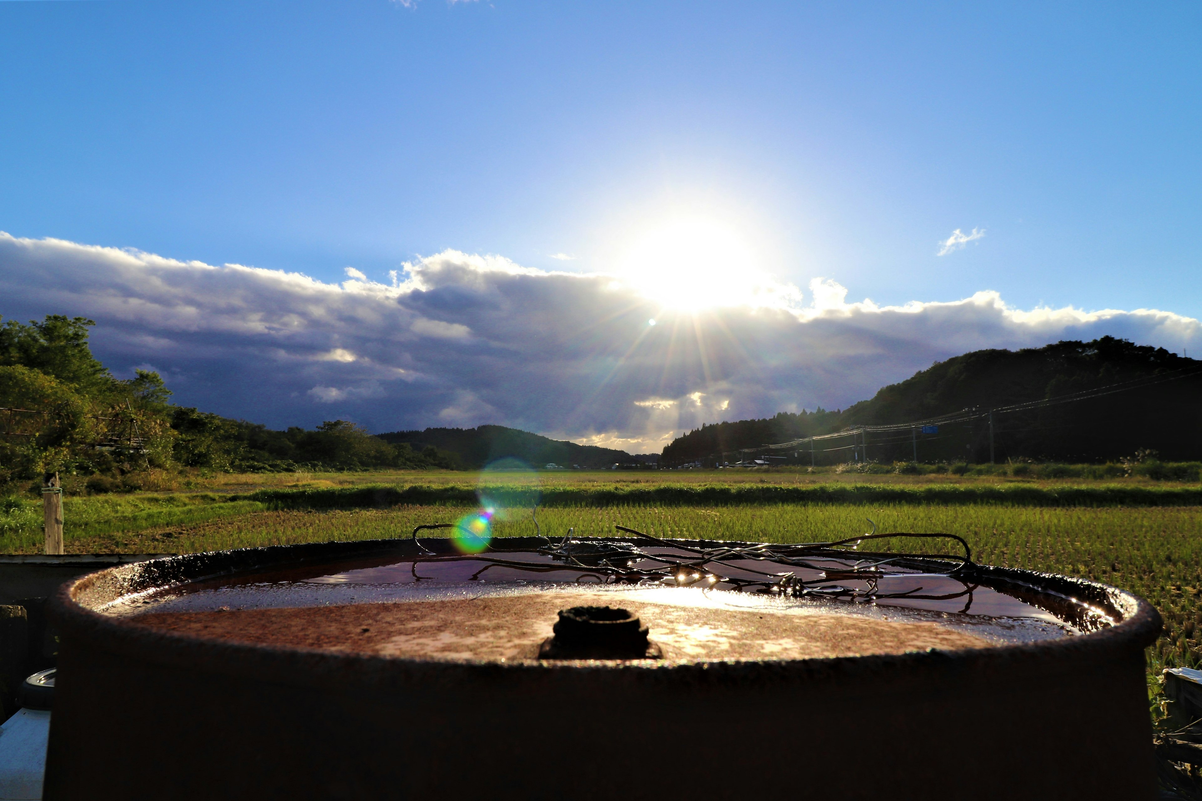 Imagen con un sol brillante sobre un paisaje verde con cielo azul