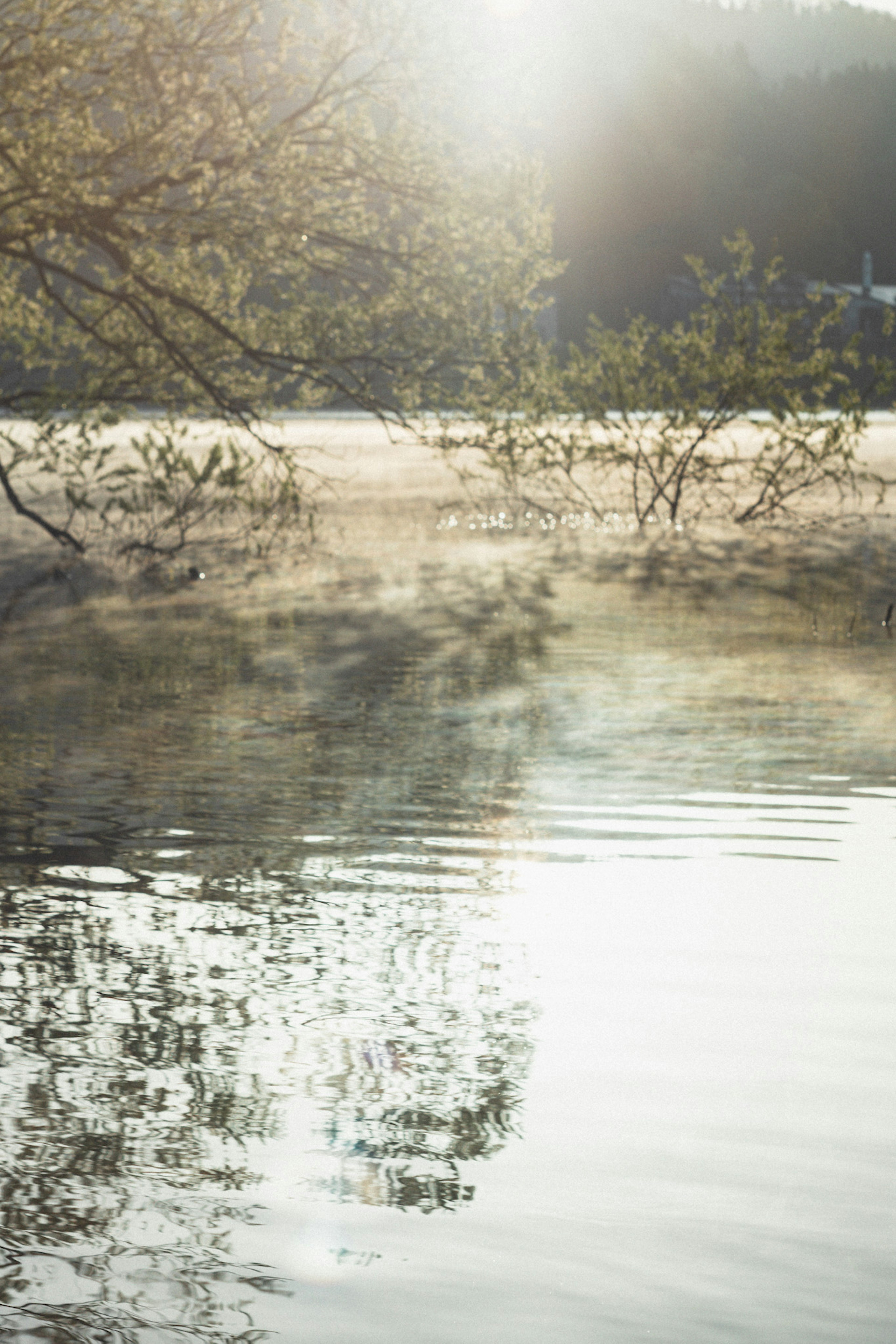 Serene water surface reflecting morning sunlight and mist