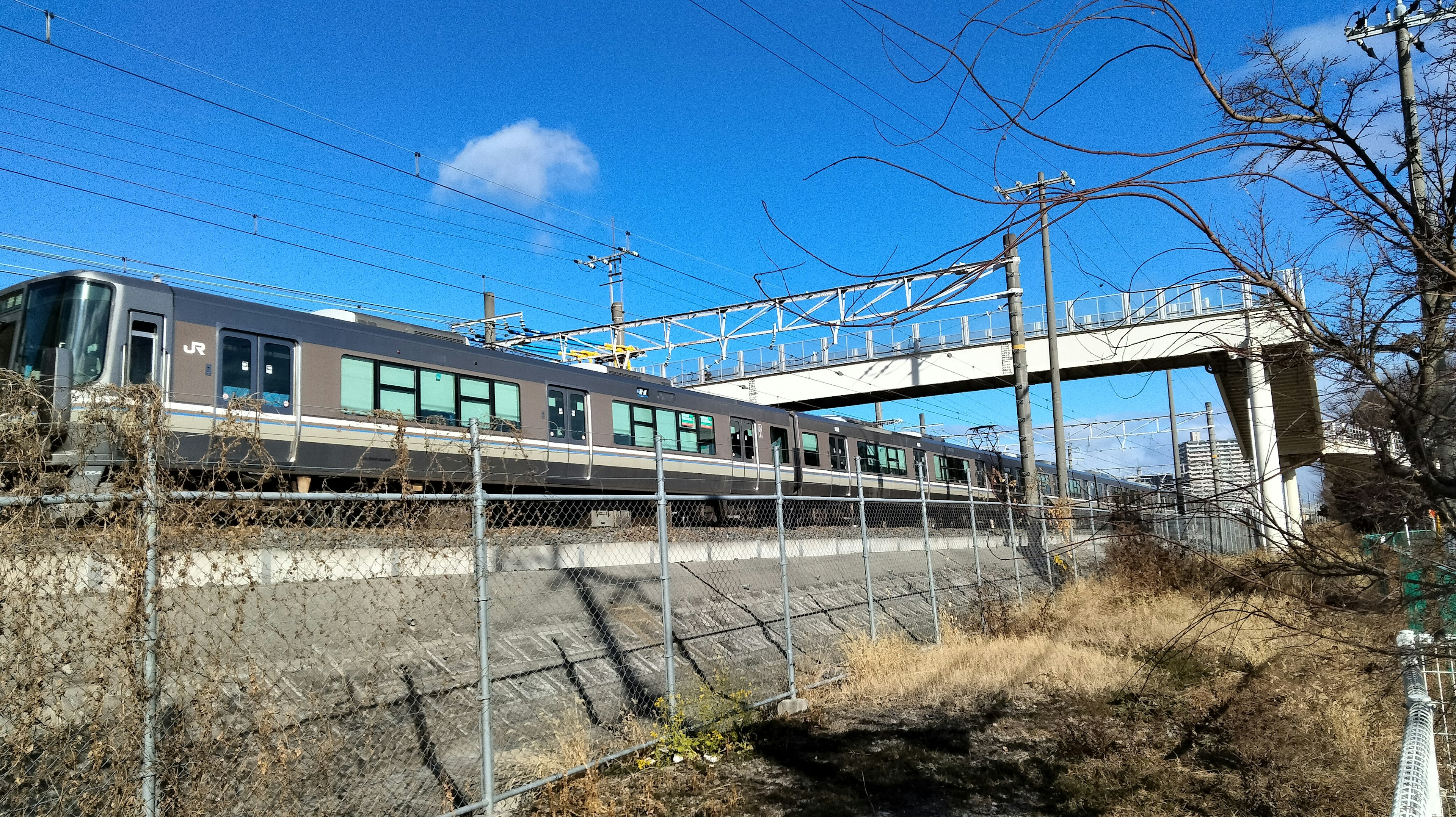 Tren viajando bajo un cielo azul con un paso elevado