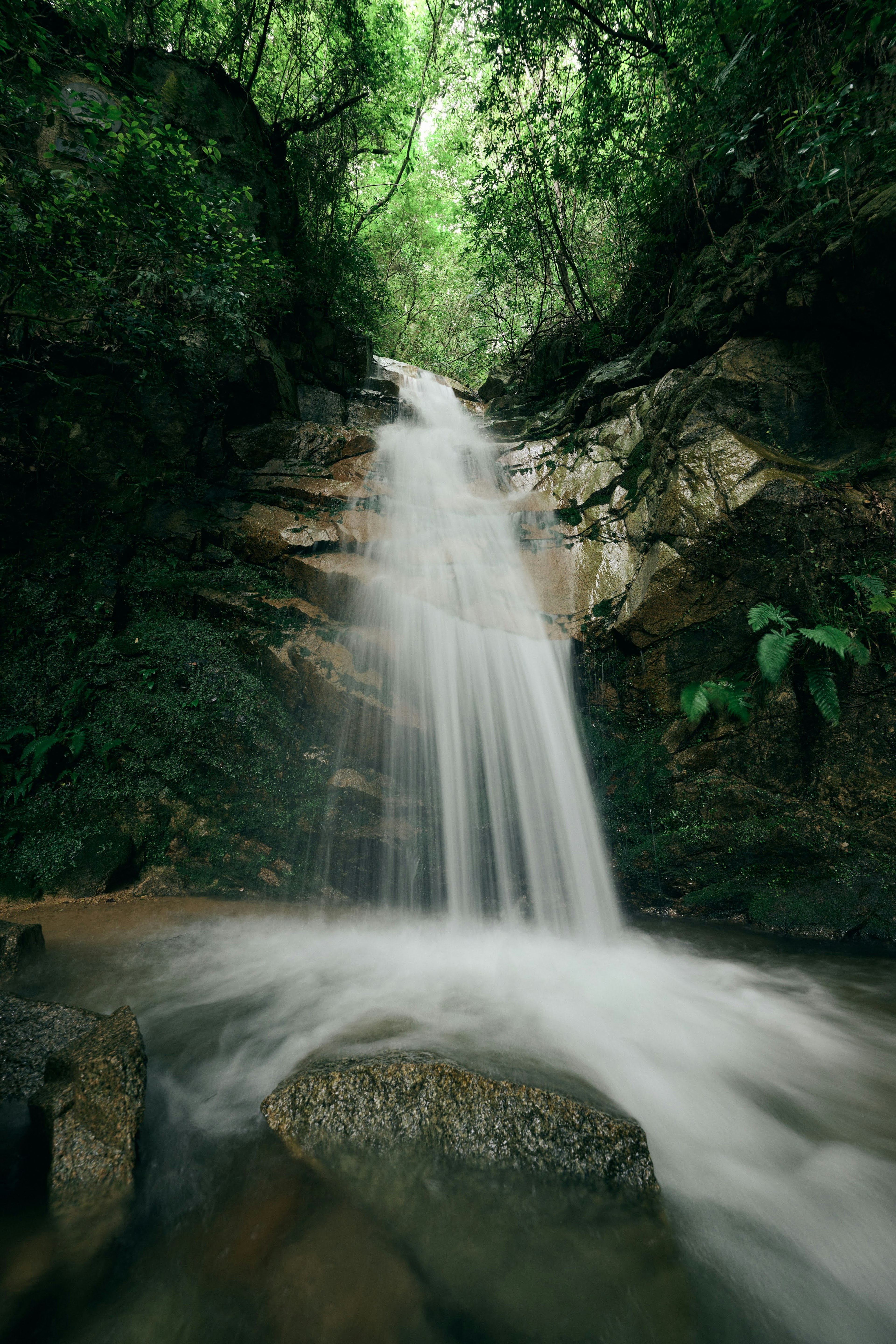 Ein Wasserfall, der über Steine in einem üppigen grünen Wald fließt