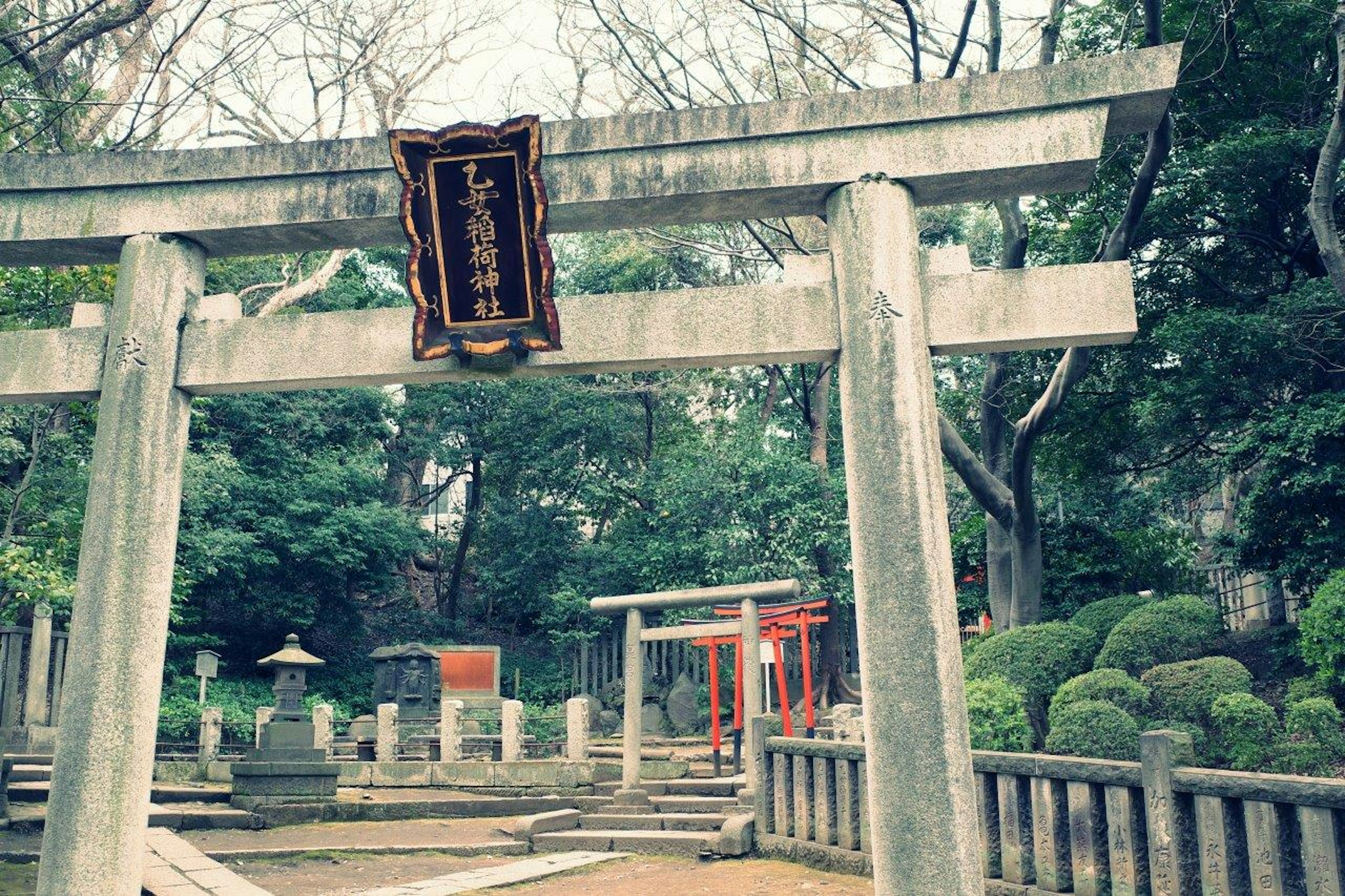 古い神社の鳥居と庭園の景色