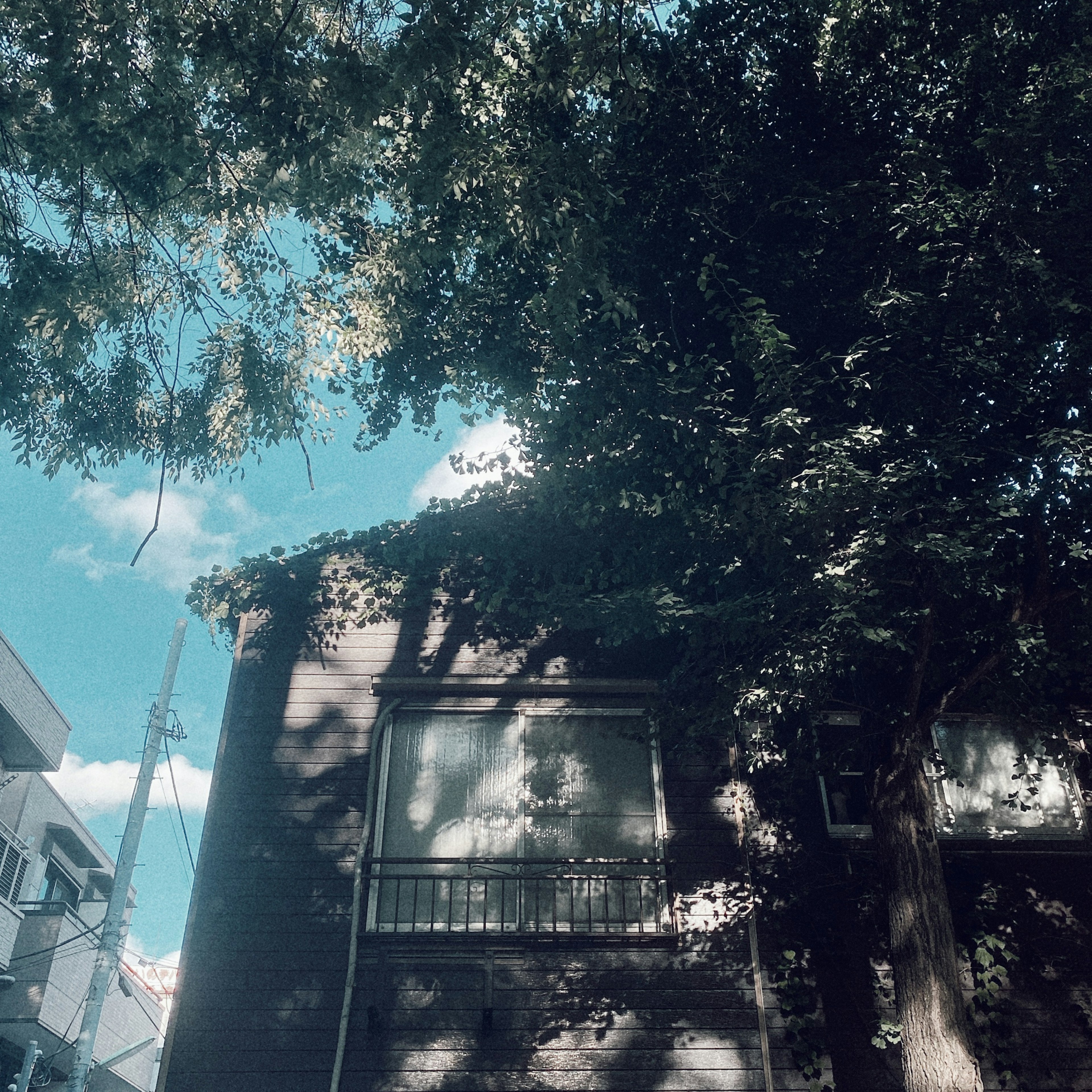 Façade d'un vieux bâtiment avec des ombres d'arbres environnants