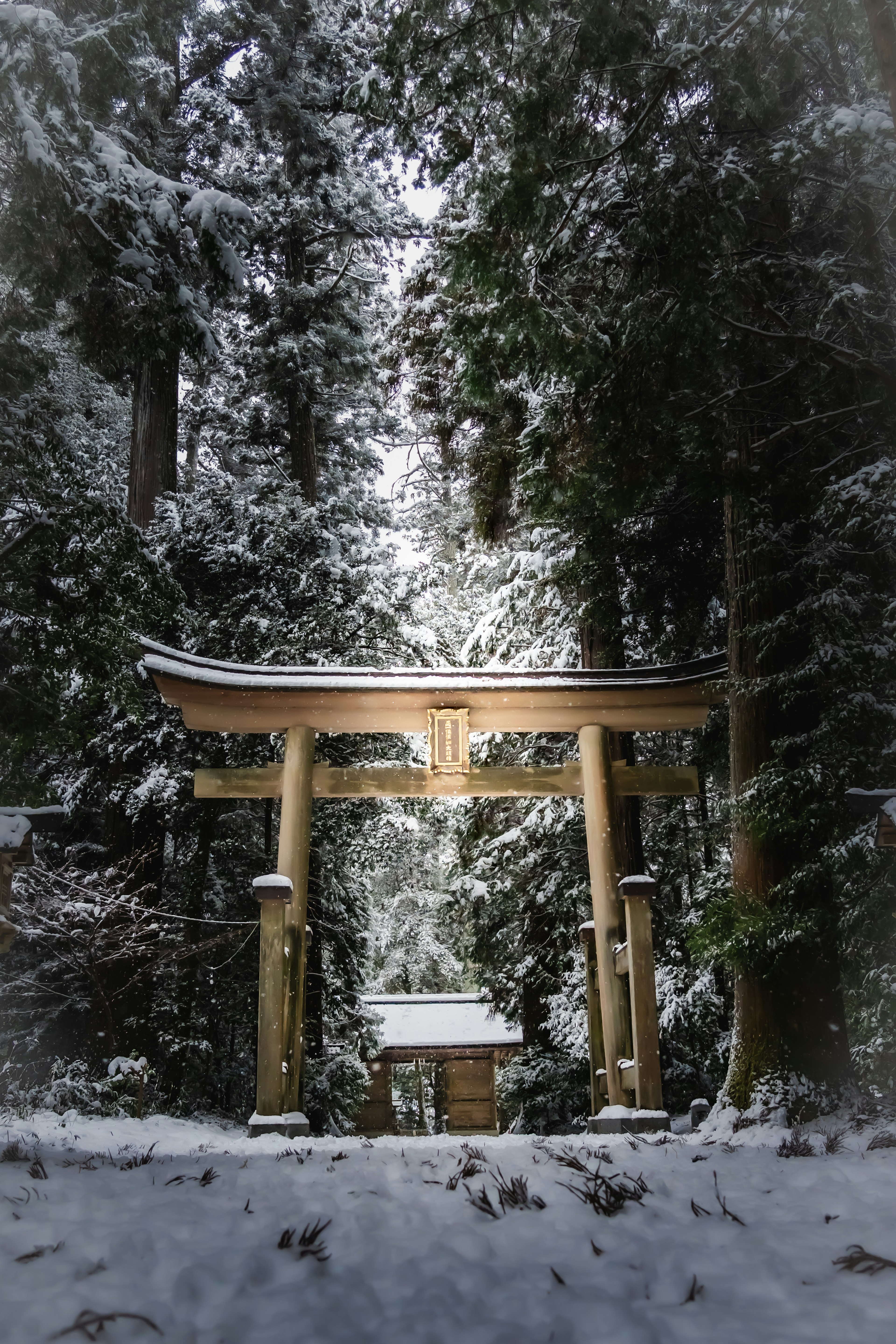 Torii und kleine Hütte in einem verschneiten Wald