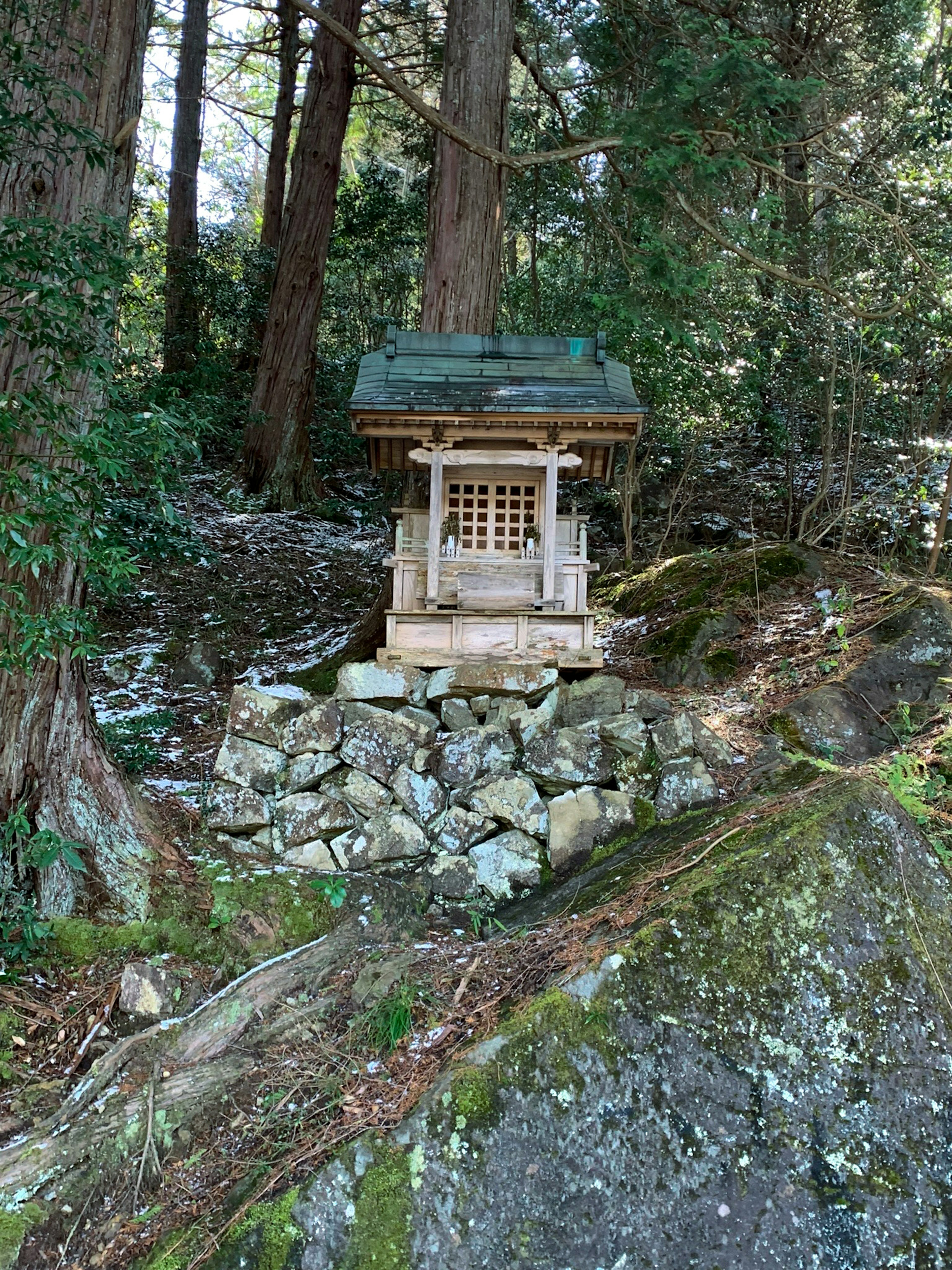 Petite structure de type sanctuaire dans la forêt entourée de pierres et de mousse