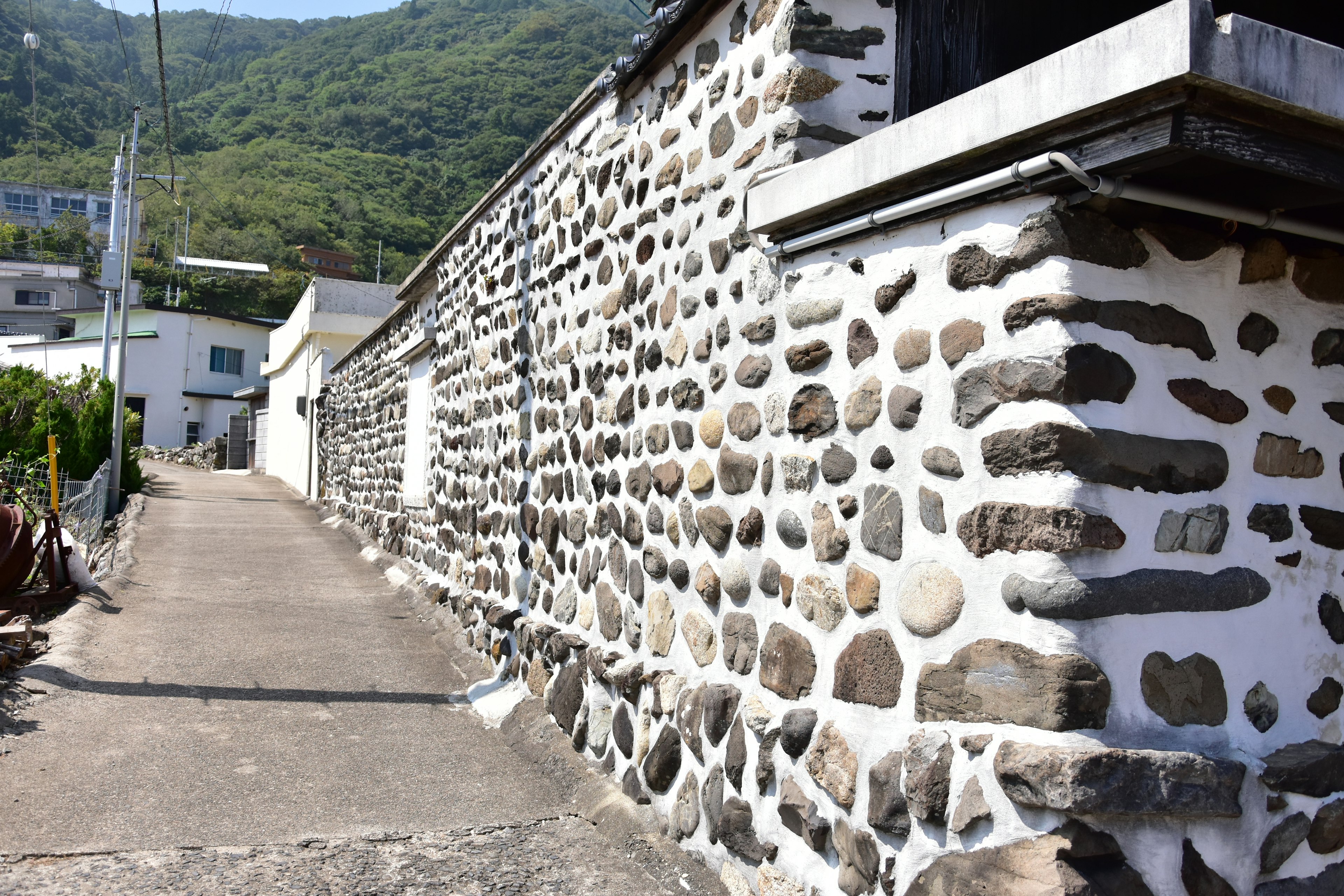 Una scena di villaggio tranquilla con un muro di pietra e un sentiero pavimentato