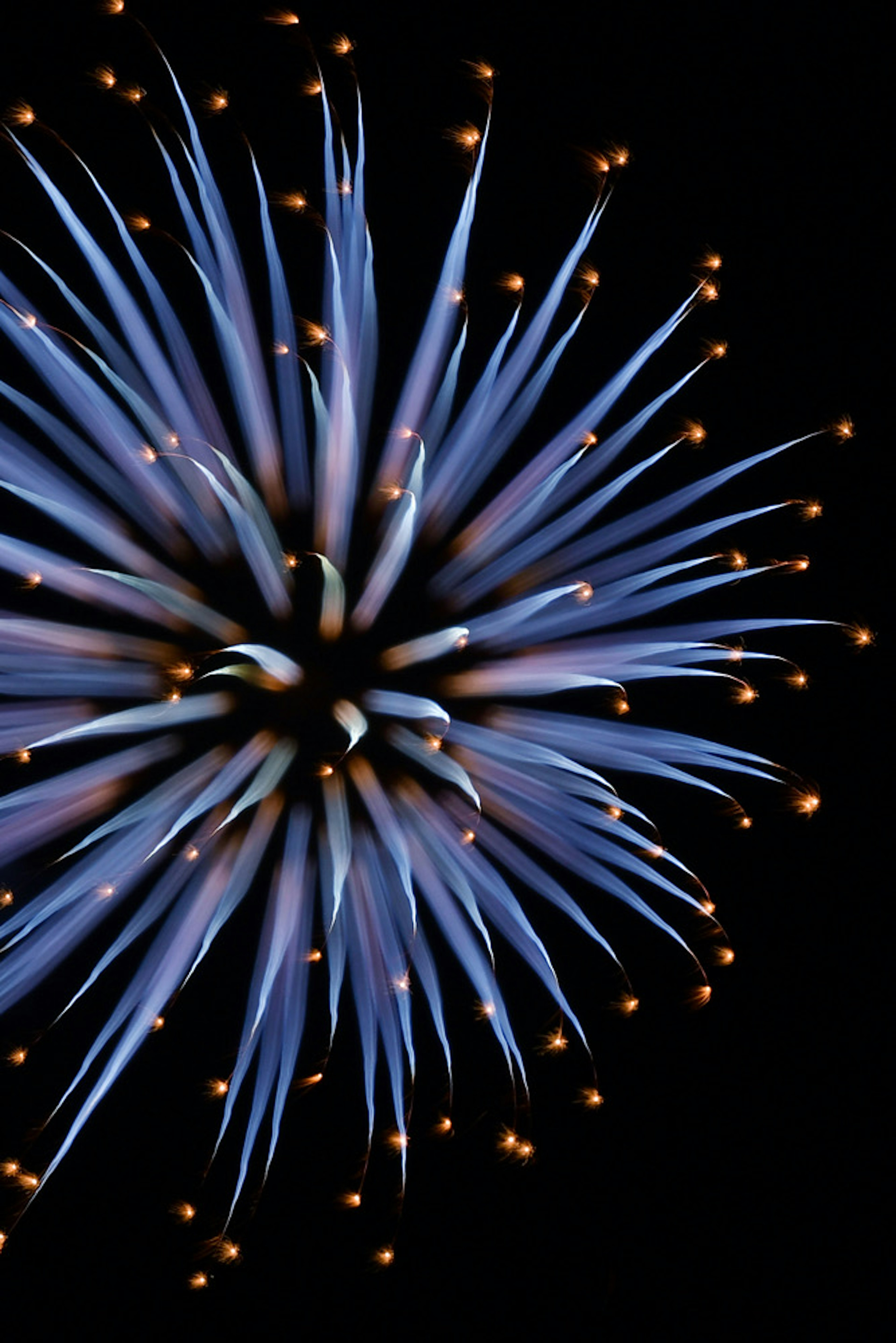 Fuegos artificiales azules estallando en el cielo nocturno