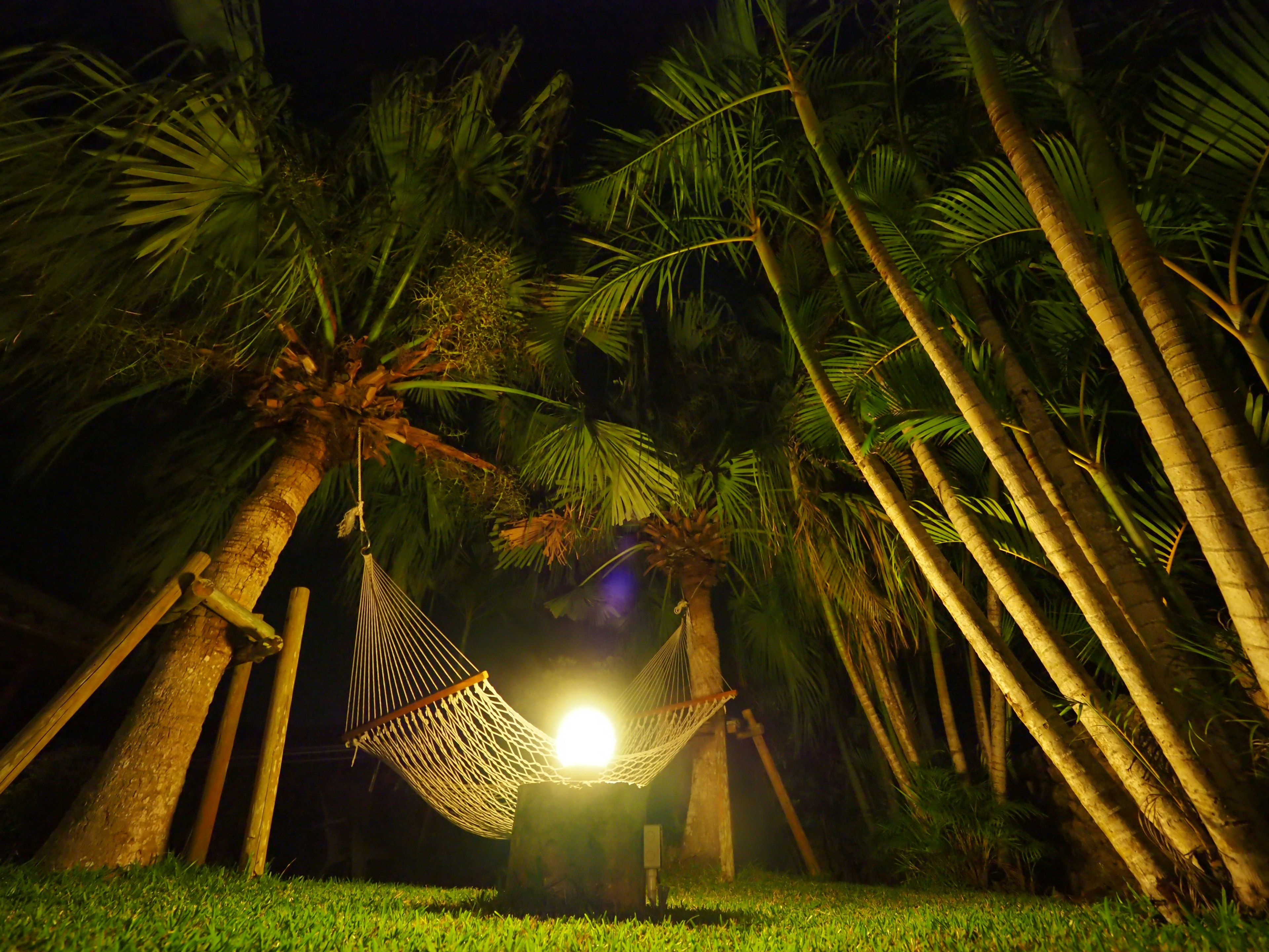 Hammock under palm trees at night with soft lighting