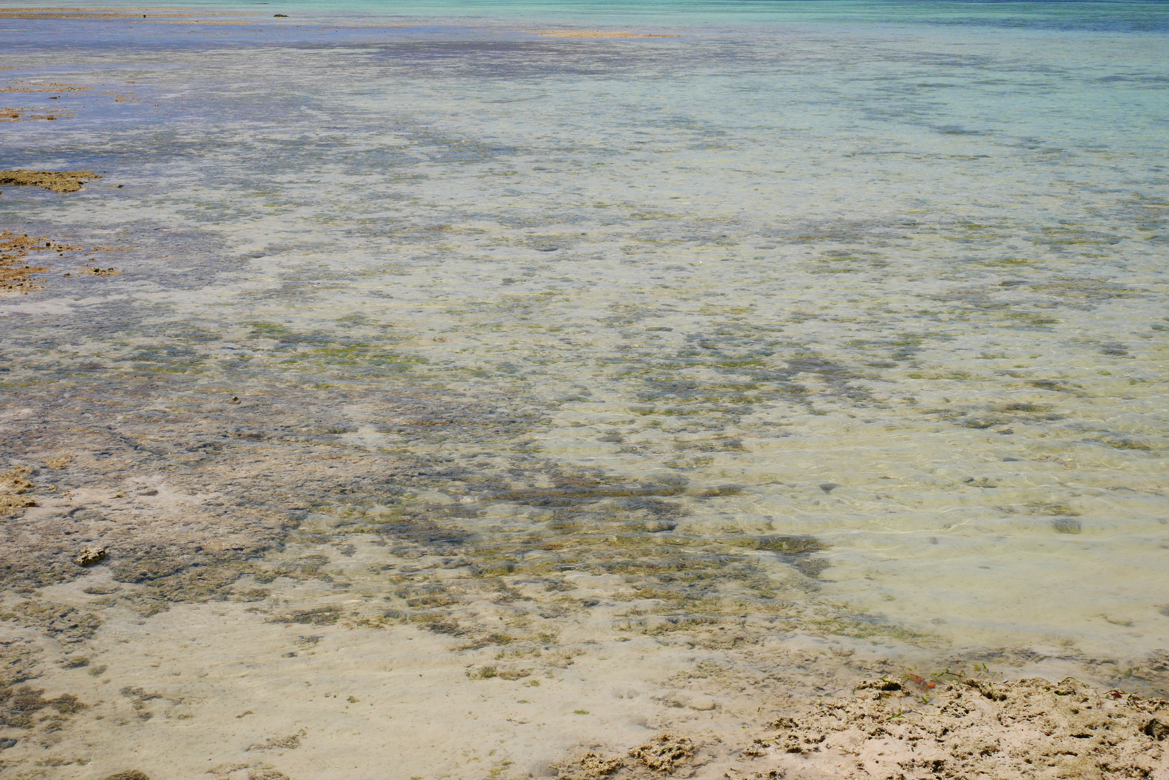 Air laut dangkal dengan pantai berpasir dan dasar laut yang terlihat