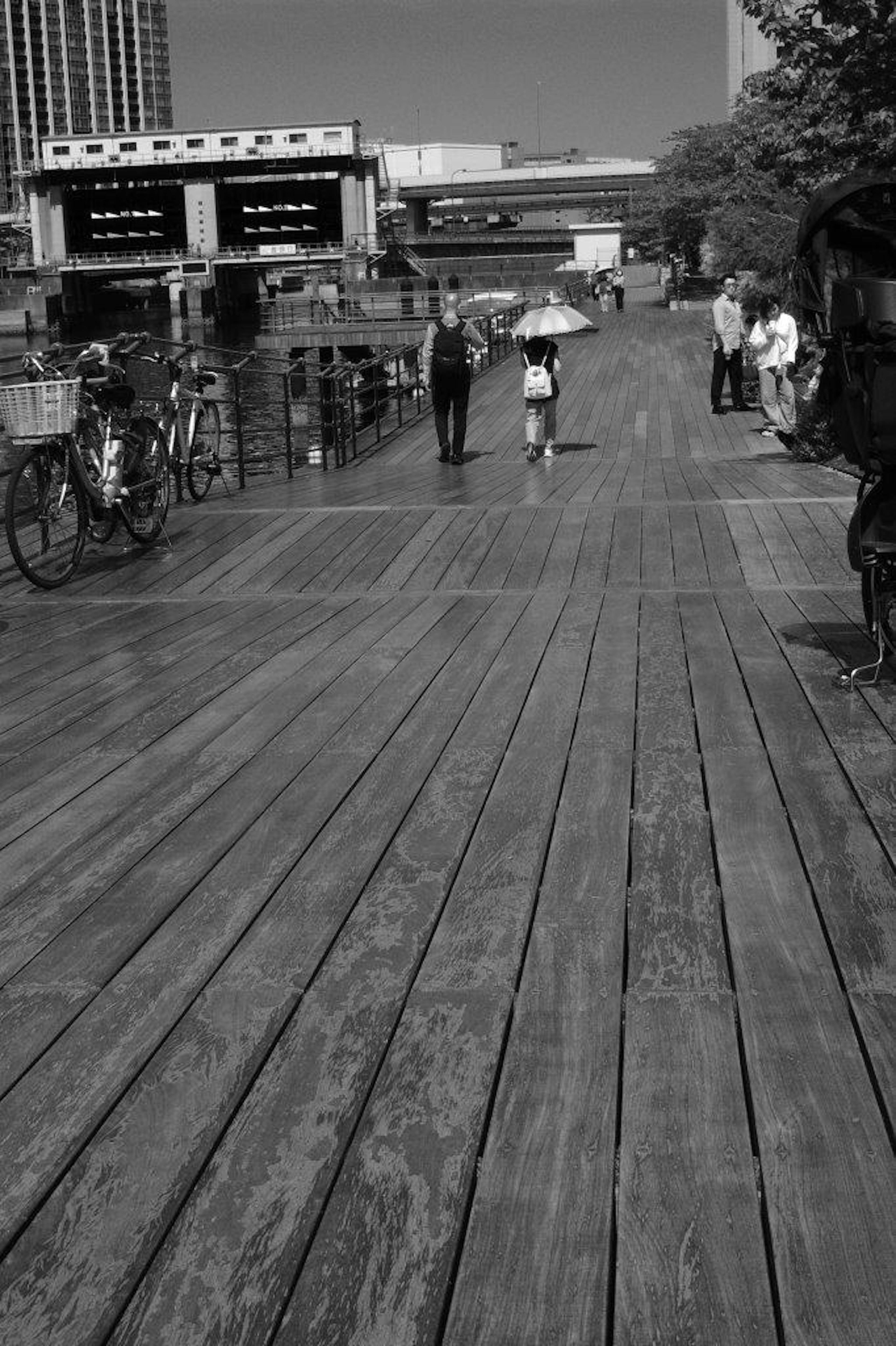 Image en noir et blanc d'une promenade en bois avec des personnes marchant et des vélos