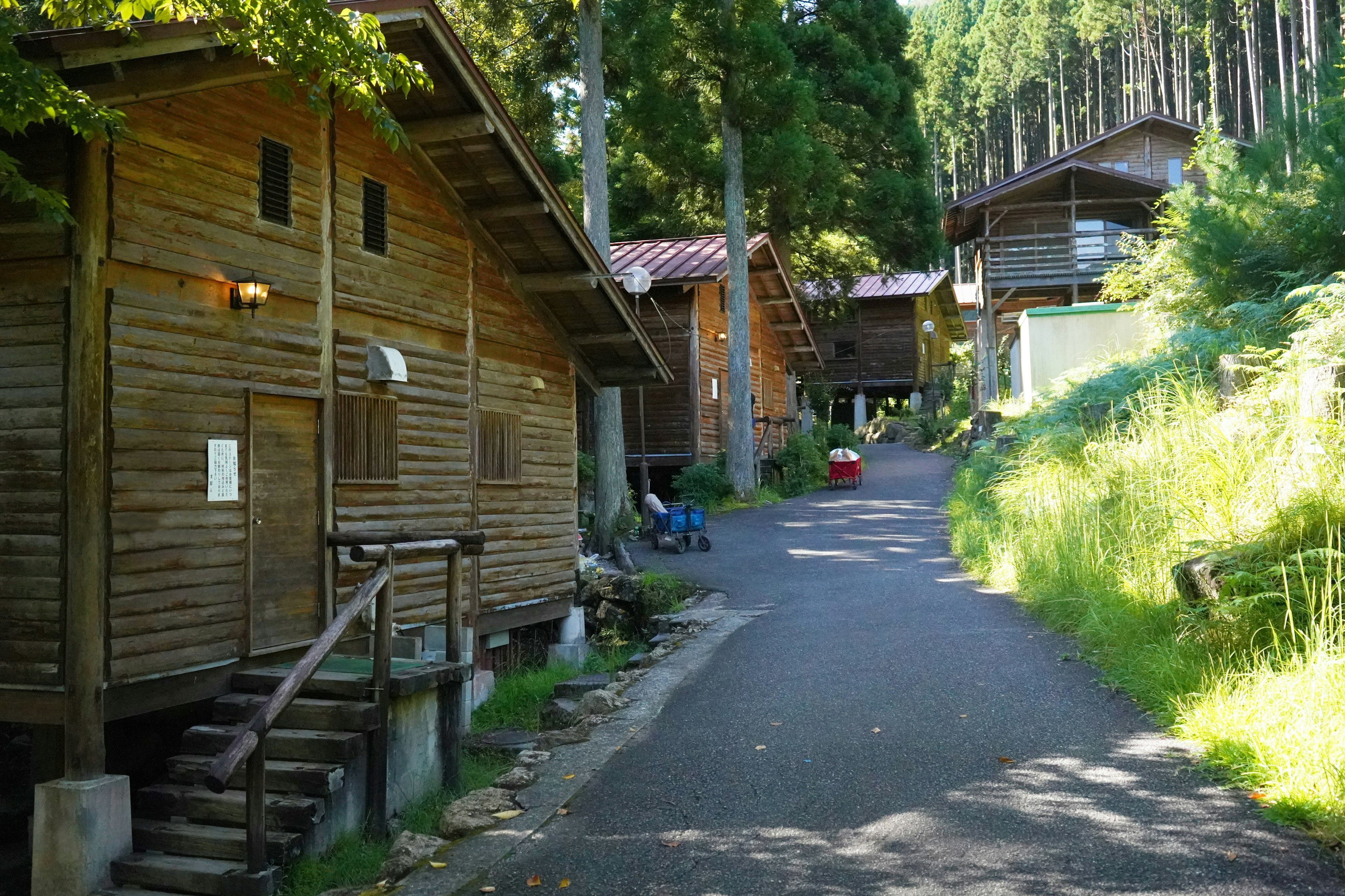 Cabañas de madera a lo largo de un camino forestal