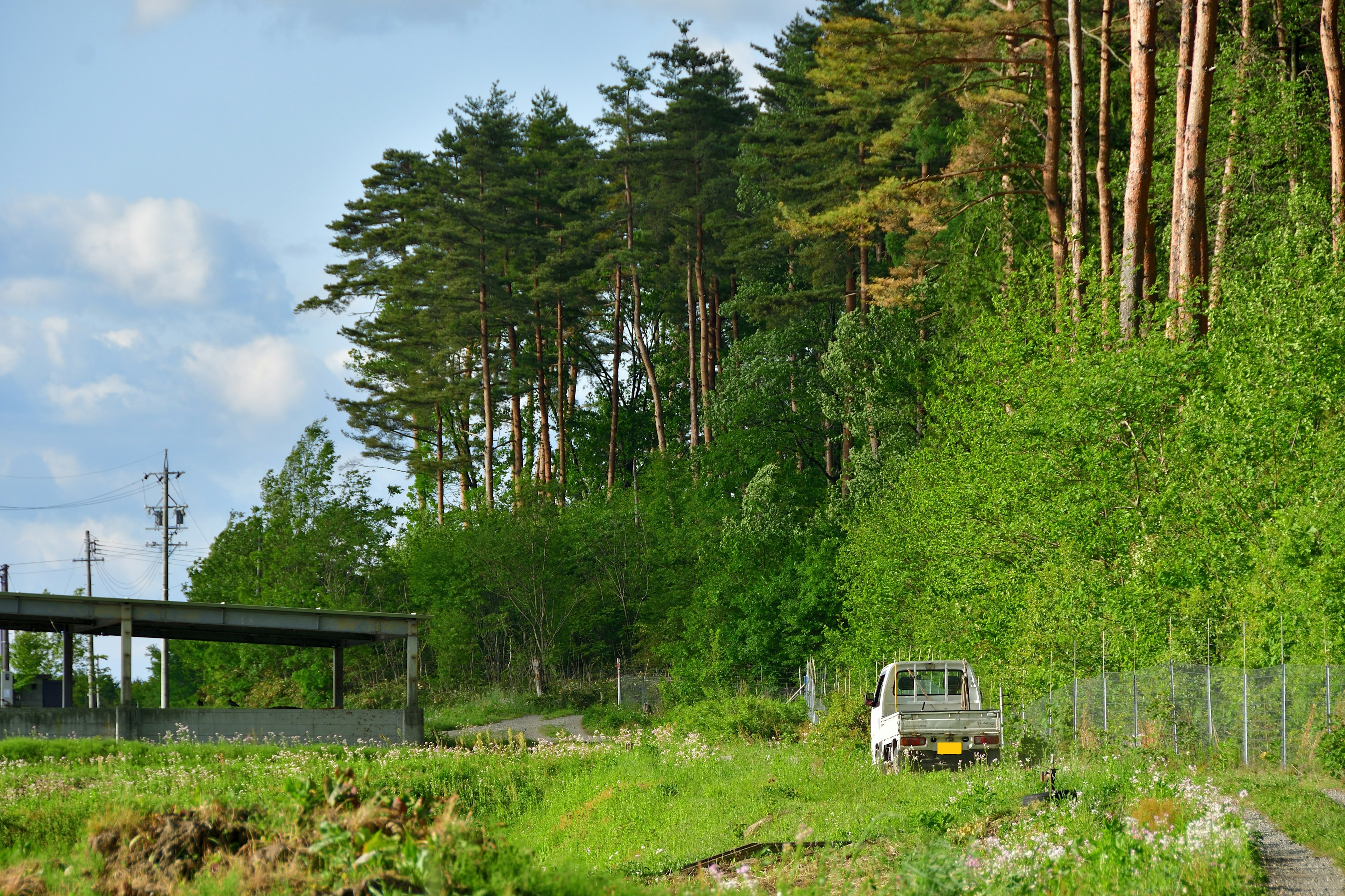 Un chemin étroit entouré de verdure luxuriante avec un ancien véhicule