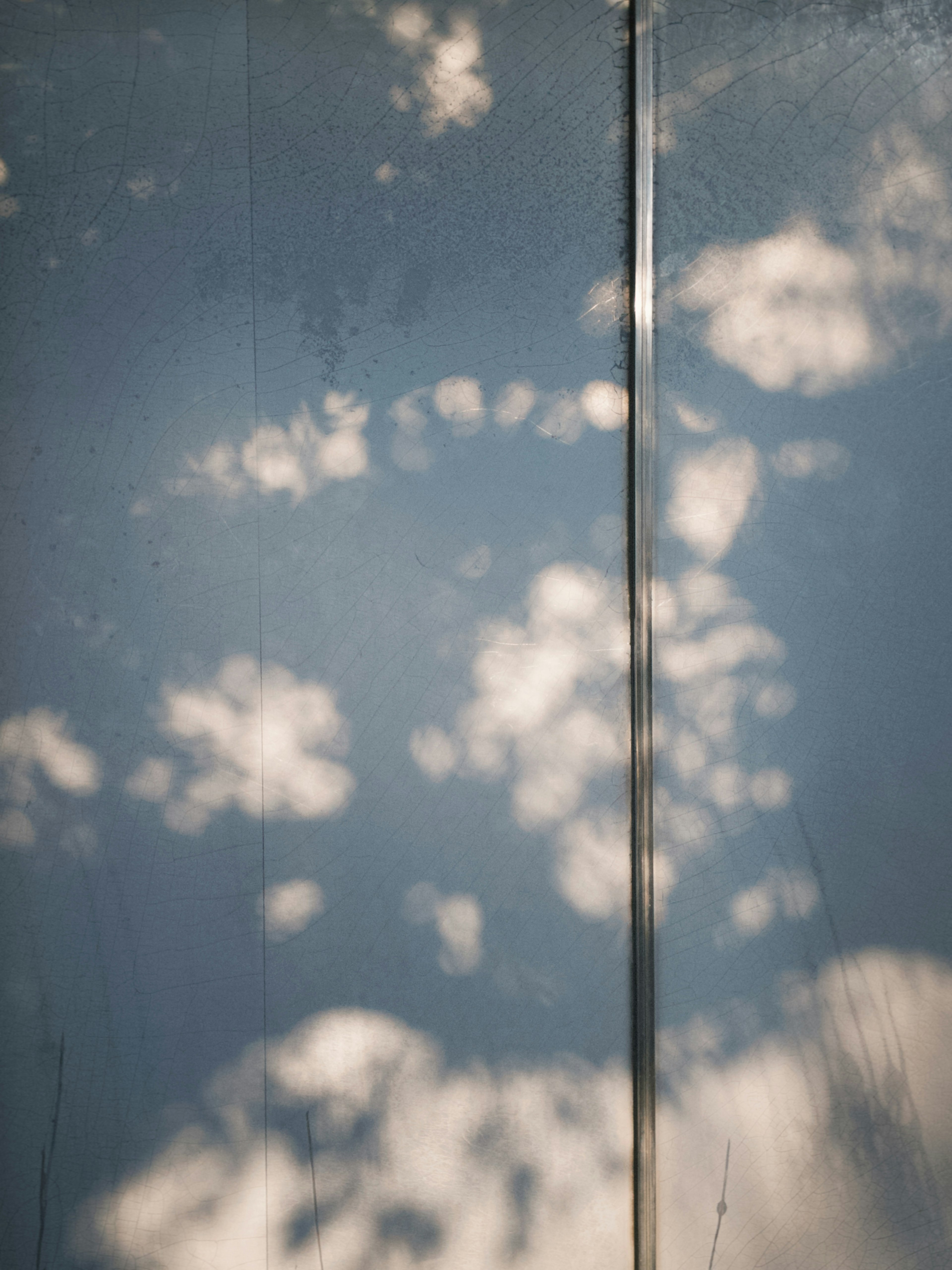 Soft shadows of leaves cast on a blue wall