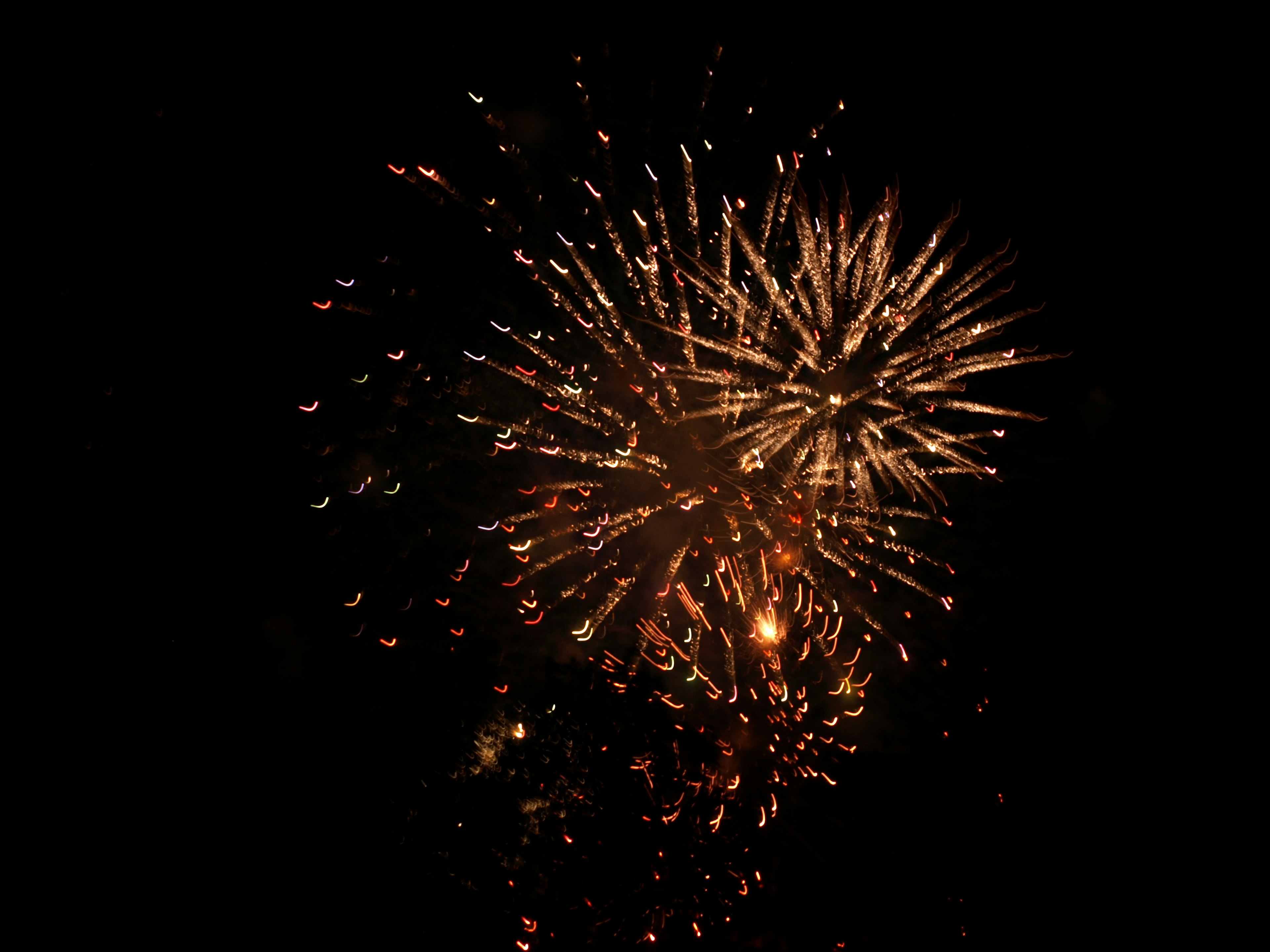 A vibrant display of fireworks bursting in the night sky