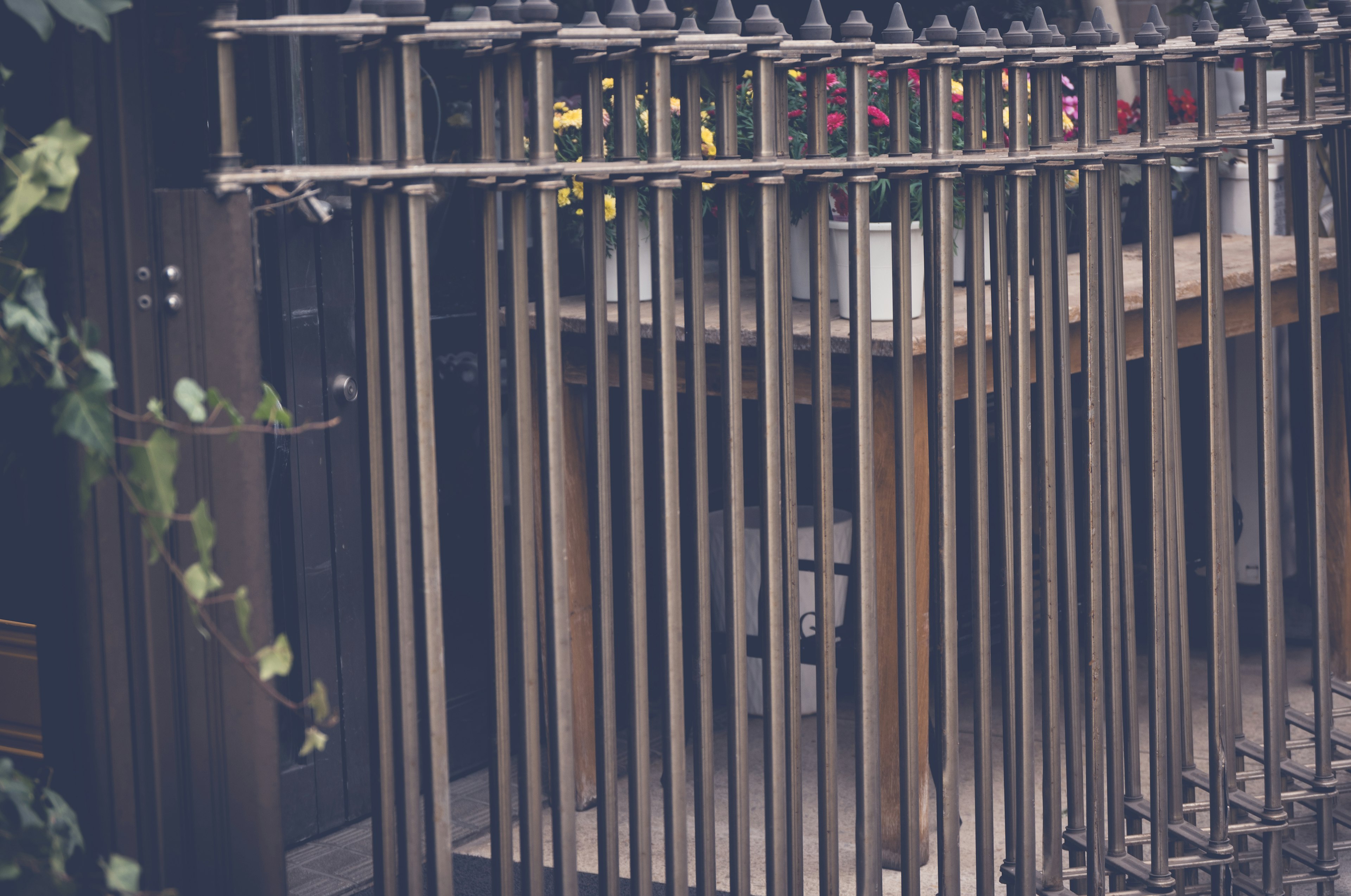 Reja de metal con plantas en un jardín