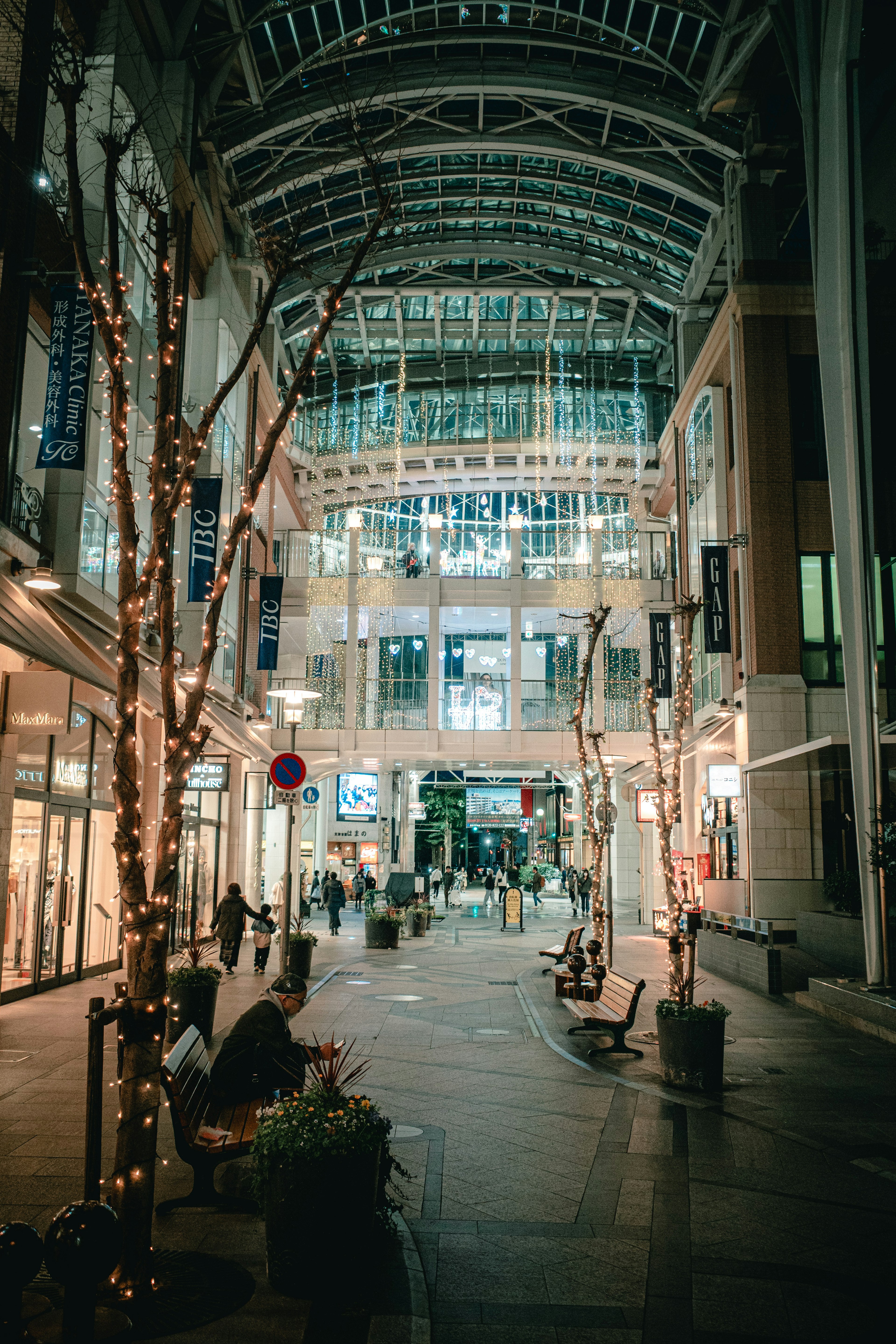 Bright indoor shopping area with decorated trees and benches