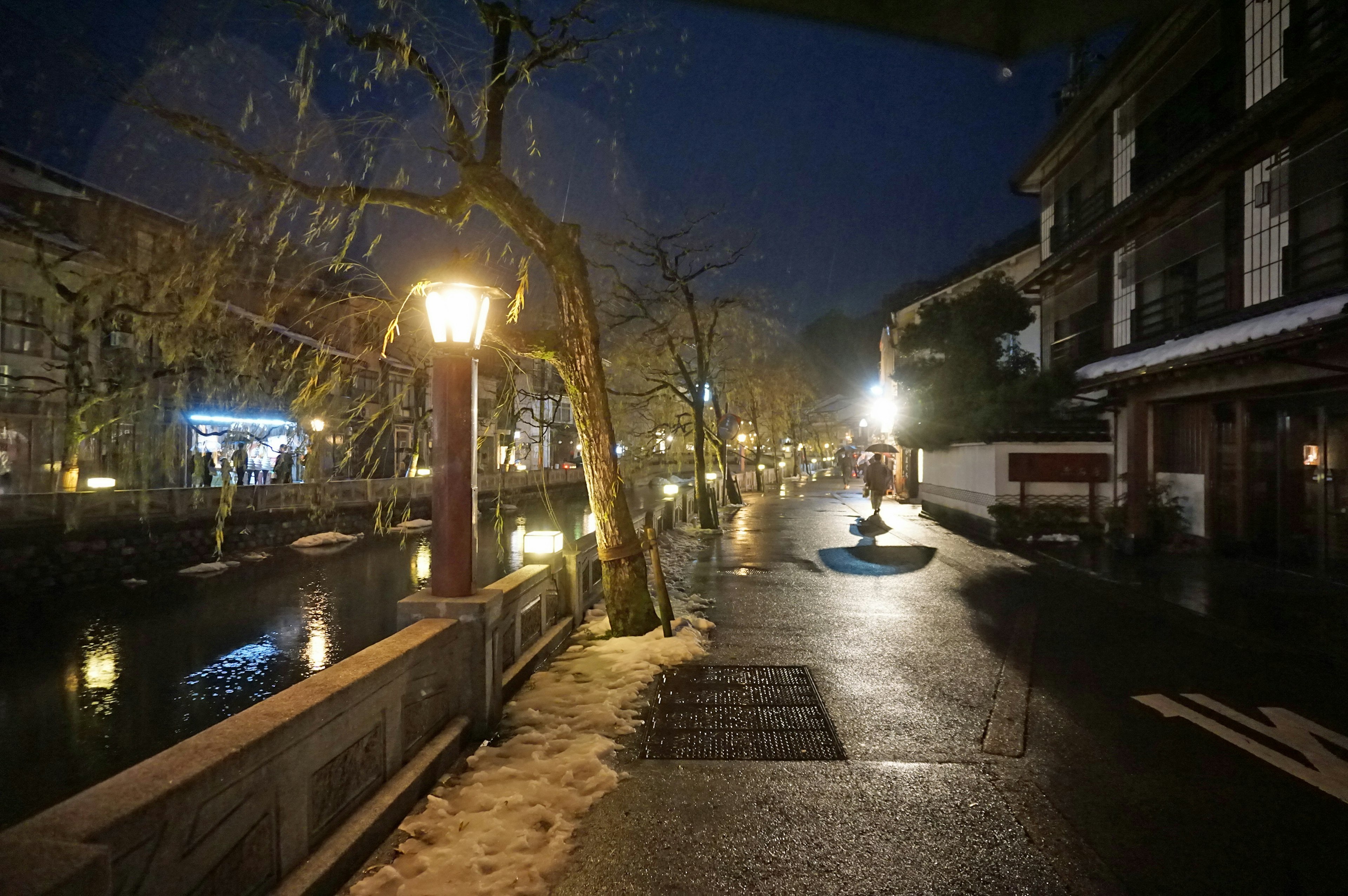 Camino tranquilo junto al río por la noche con farolas y árboles