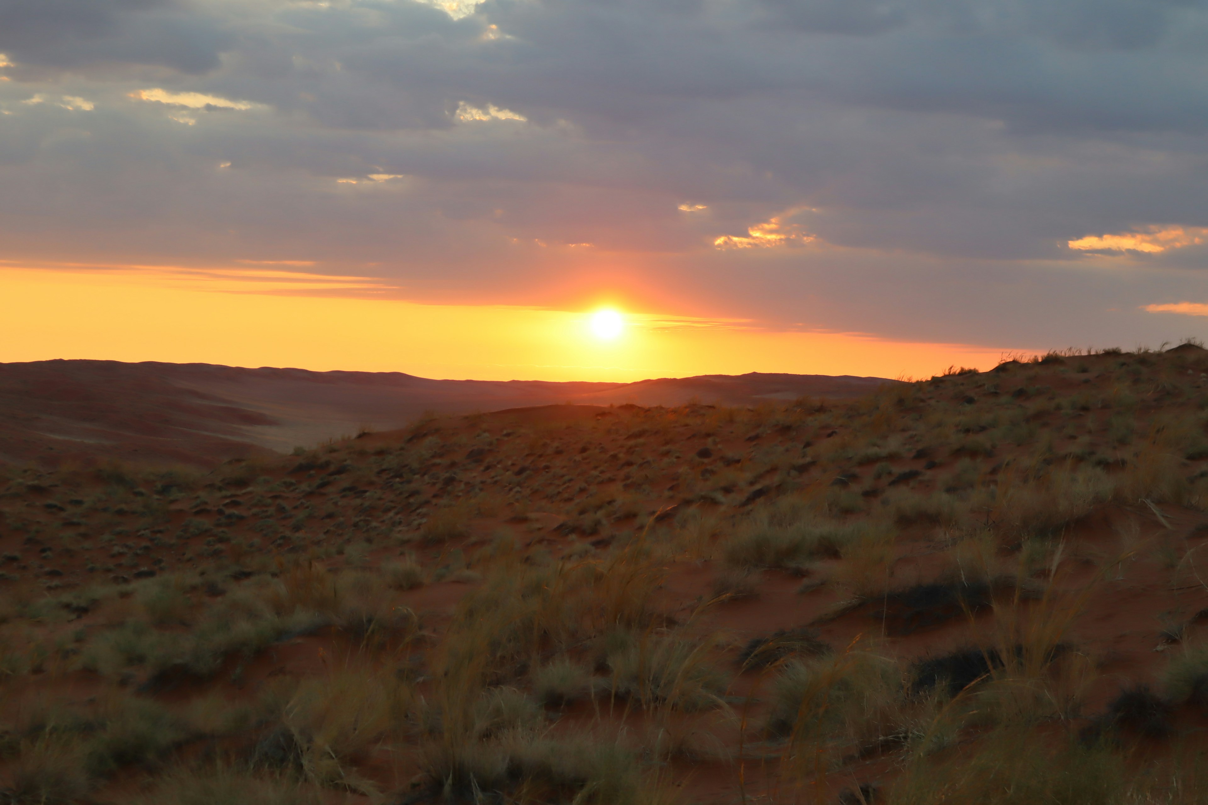 Sunset over a grassy landscape