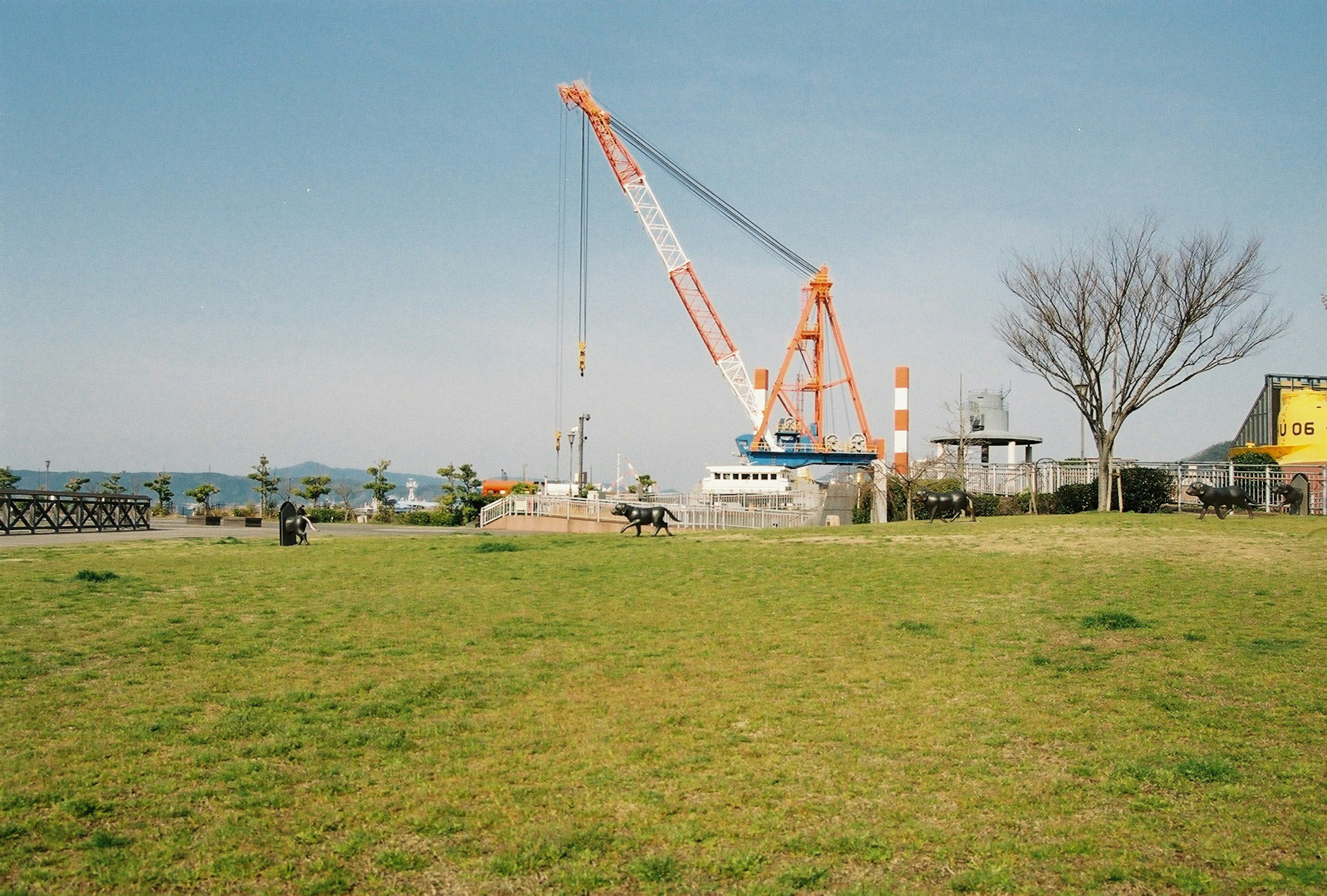 Une grue sous un ciel bleu avec de l'herbe verte