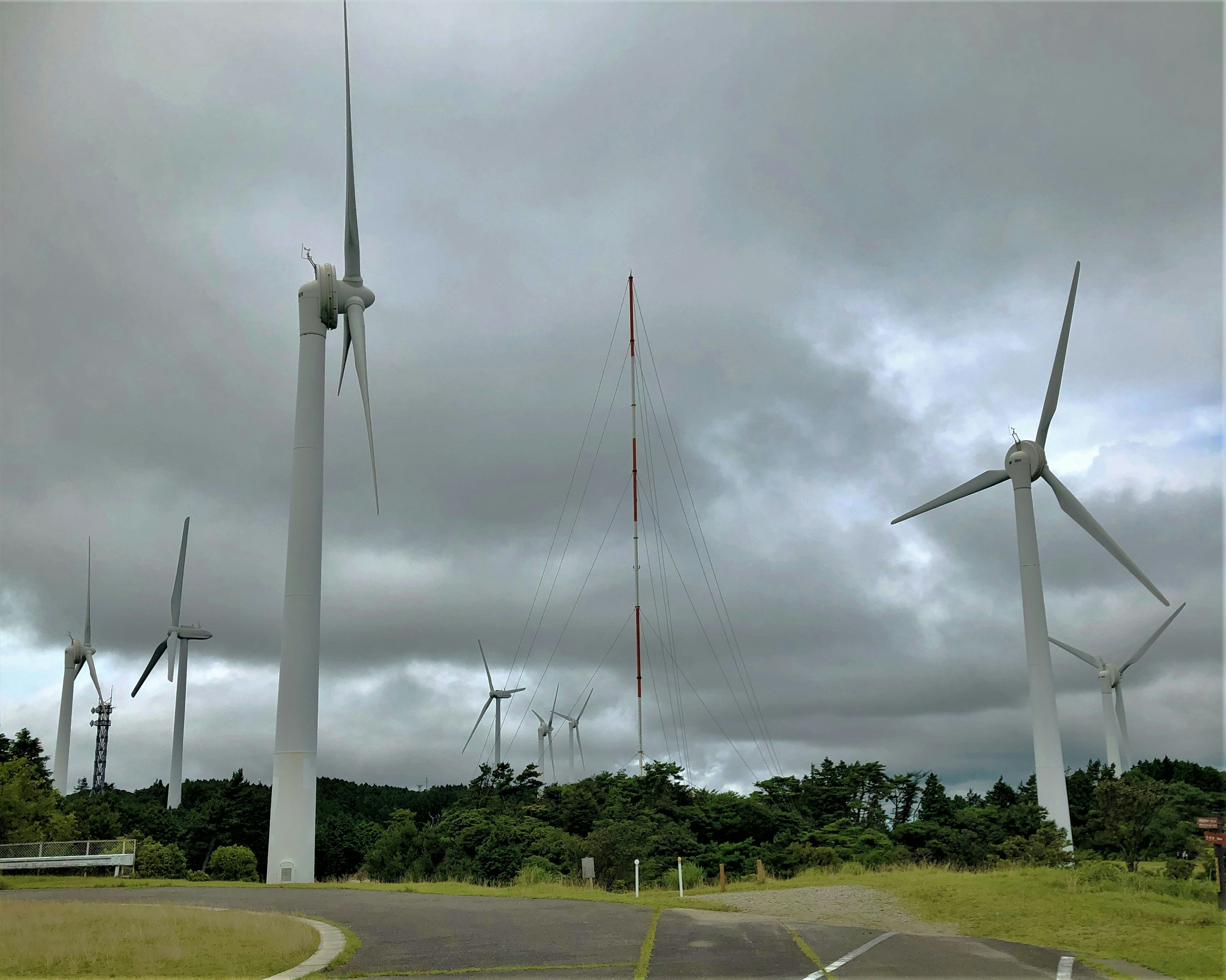 風車が立ち並ぶ風力発電所の景色