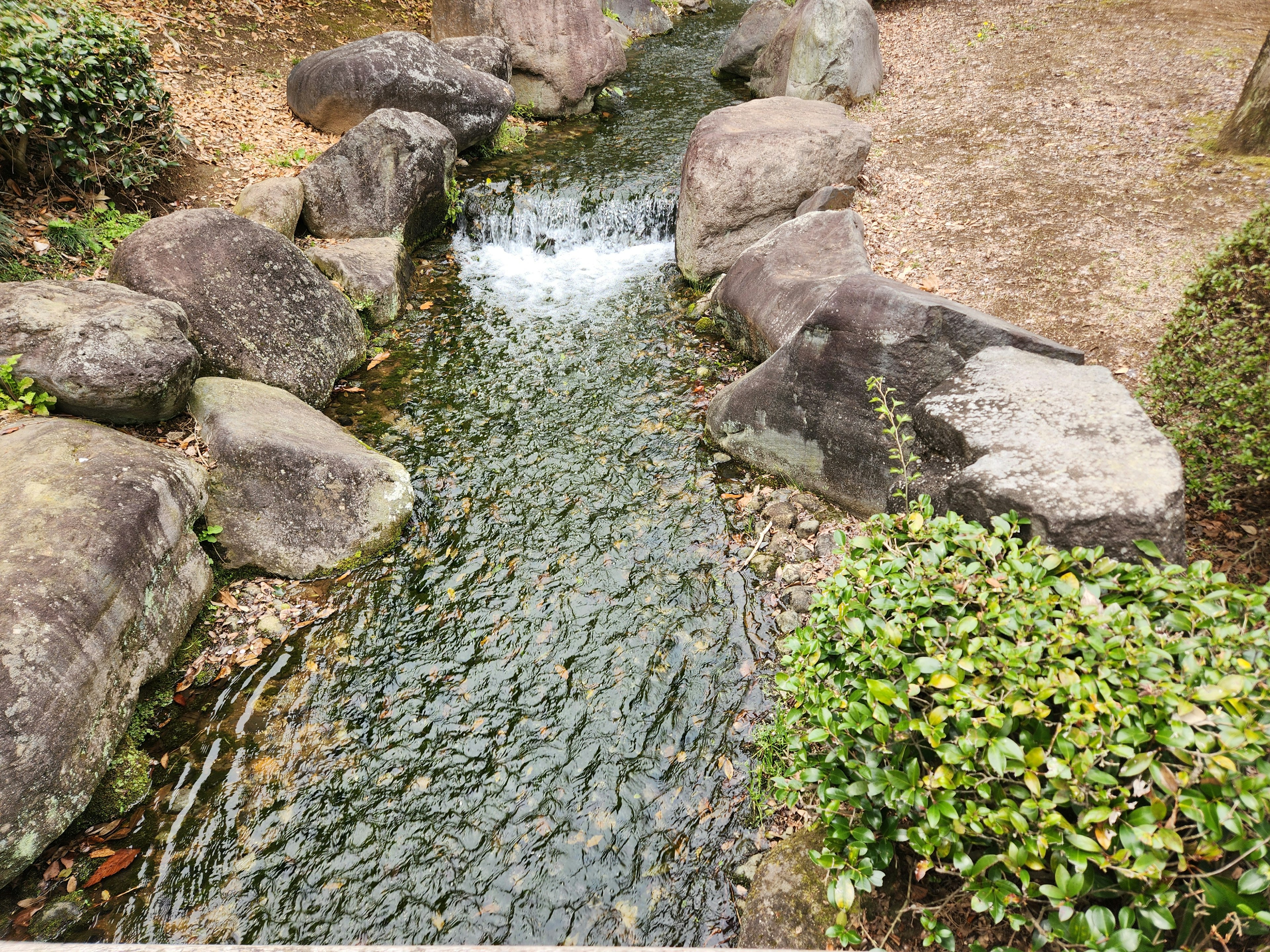 Scenic view of a stream surrounded by rocks and greenery